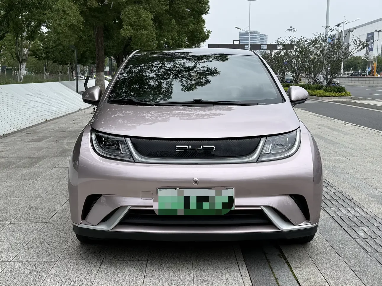 BYD dolphin