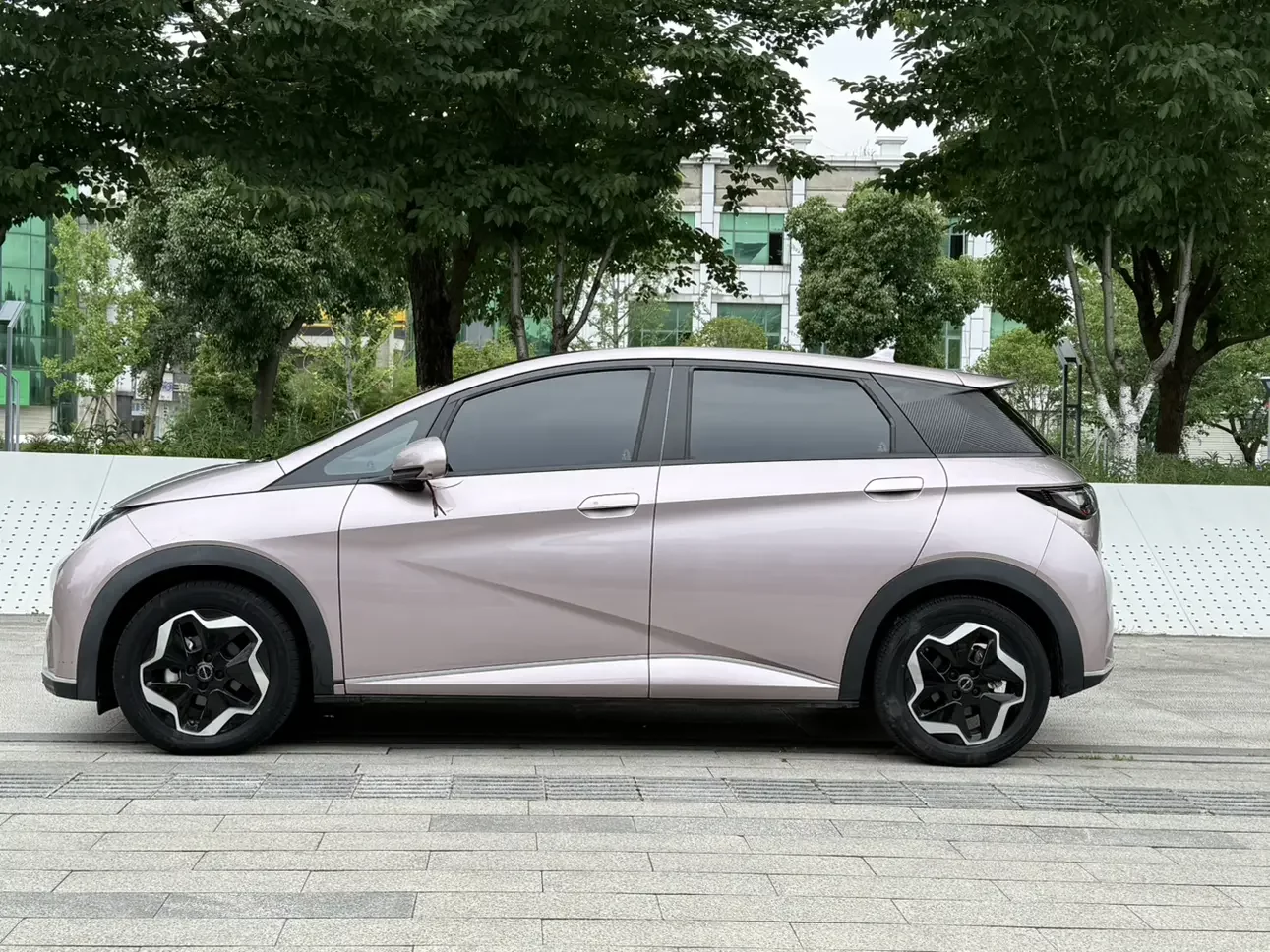 BYD dolphin