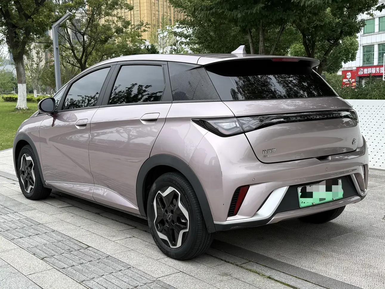BYD dolphin