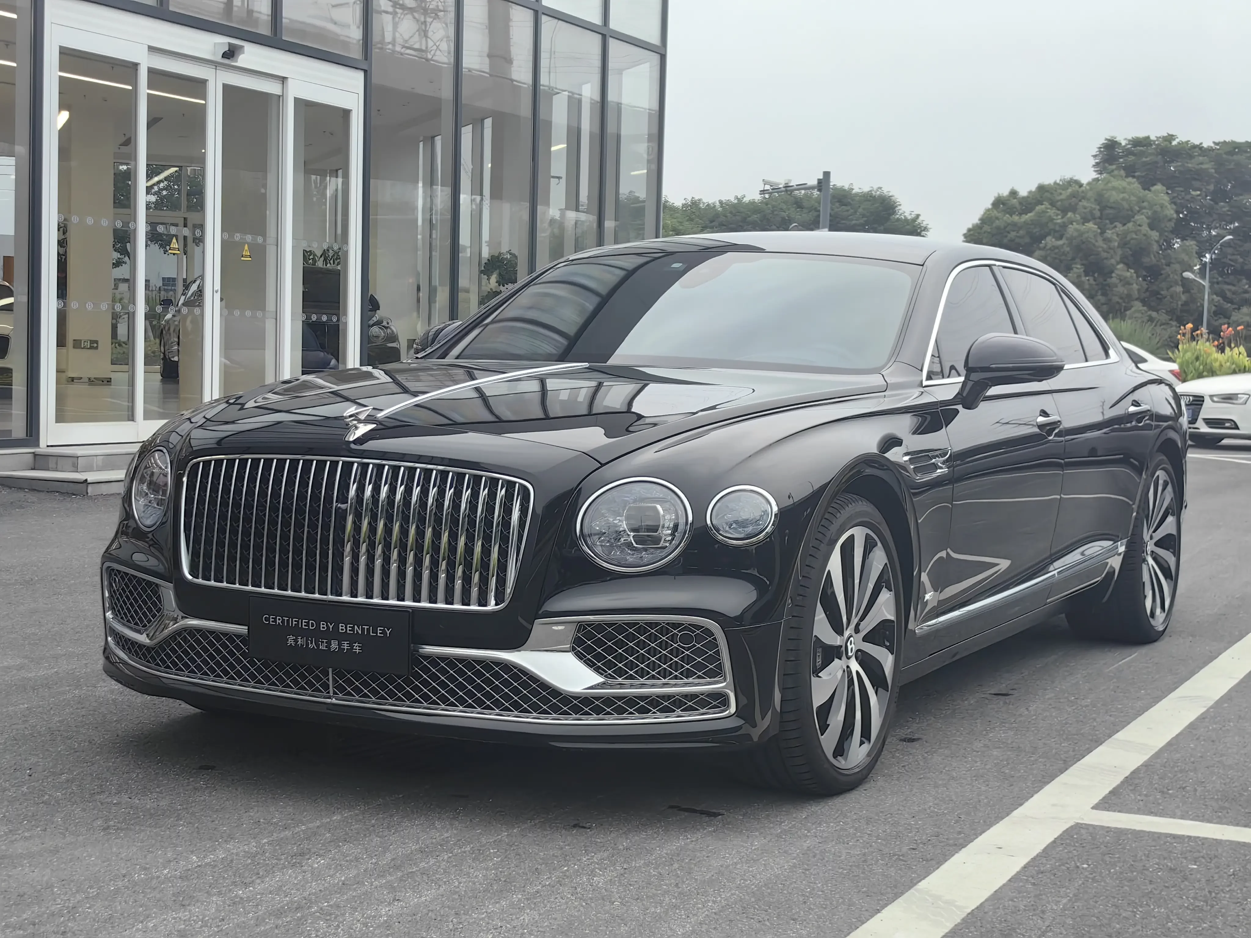 Bentley galloping
