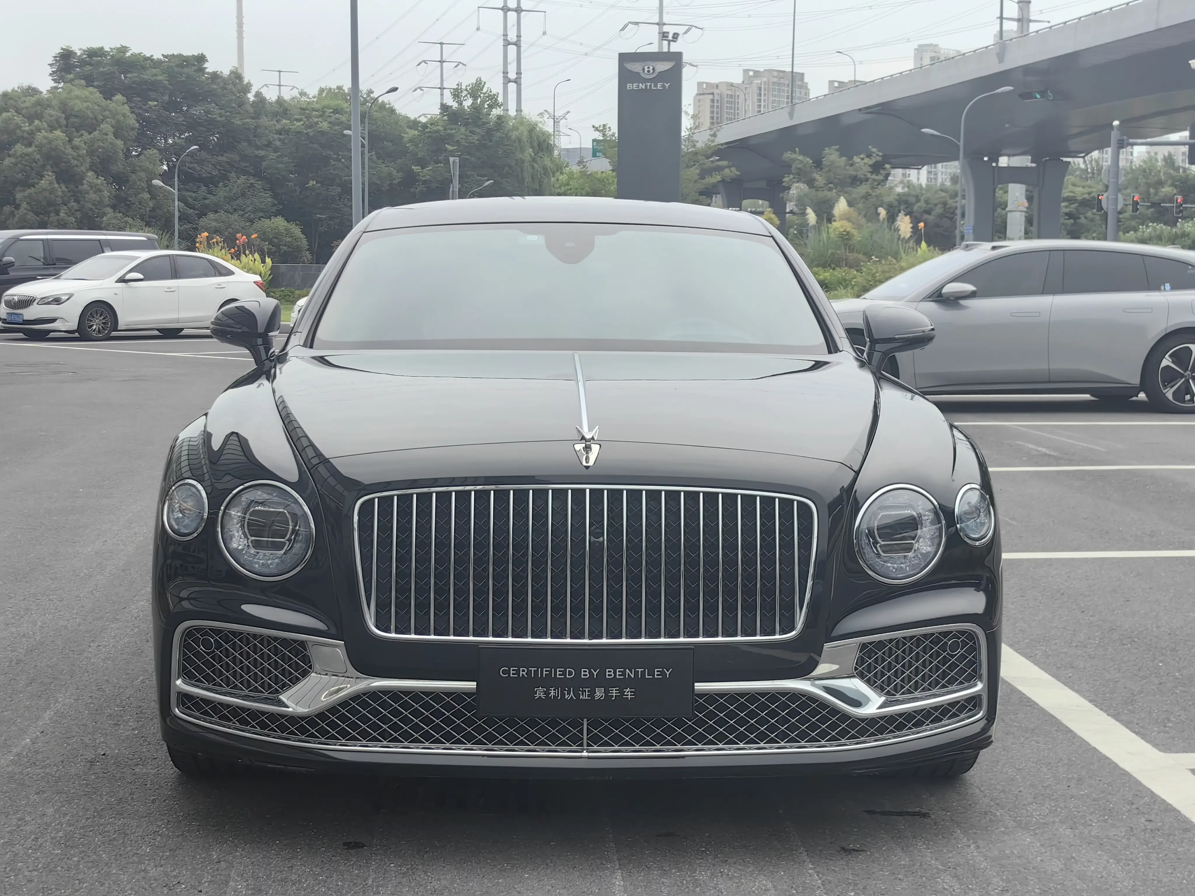 Bentley galloping