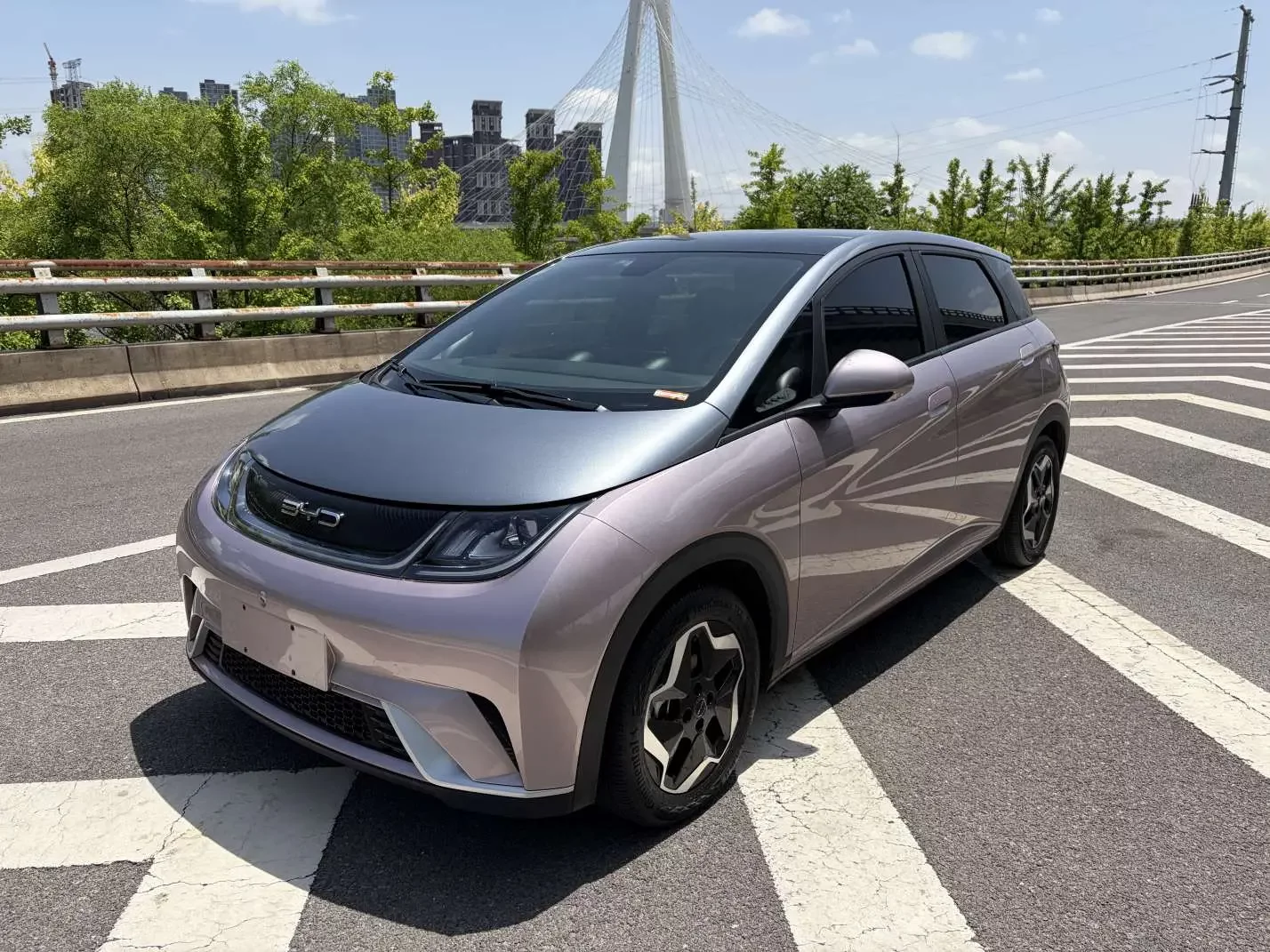 BYD dolphin