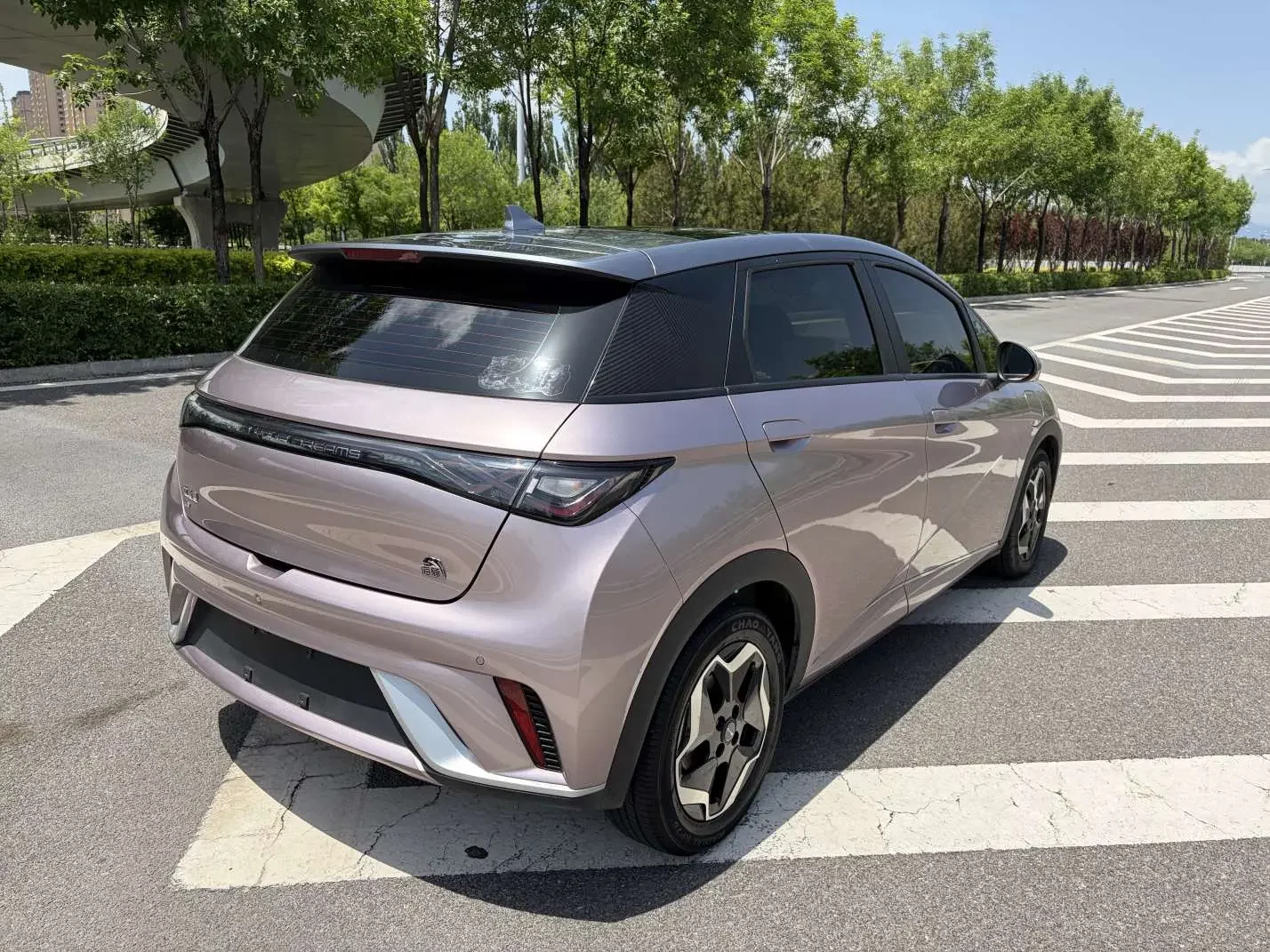 BYD dolphin