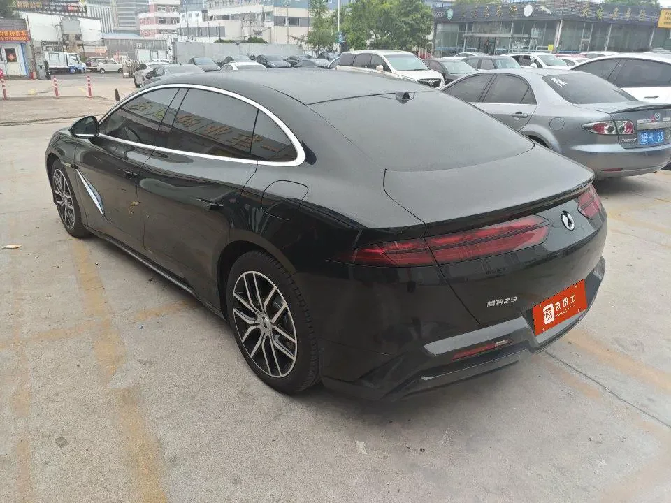 Denza Tengzhong Z9 DM