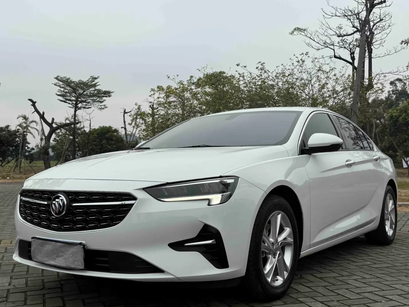 Buick Majesty