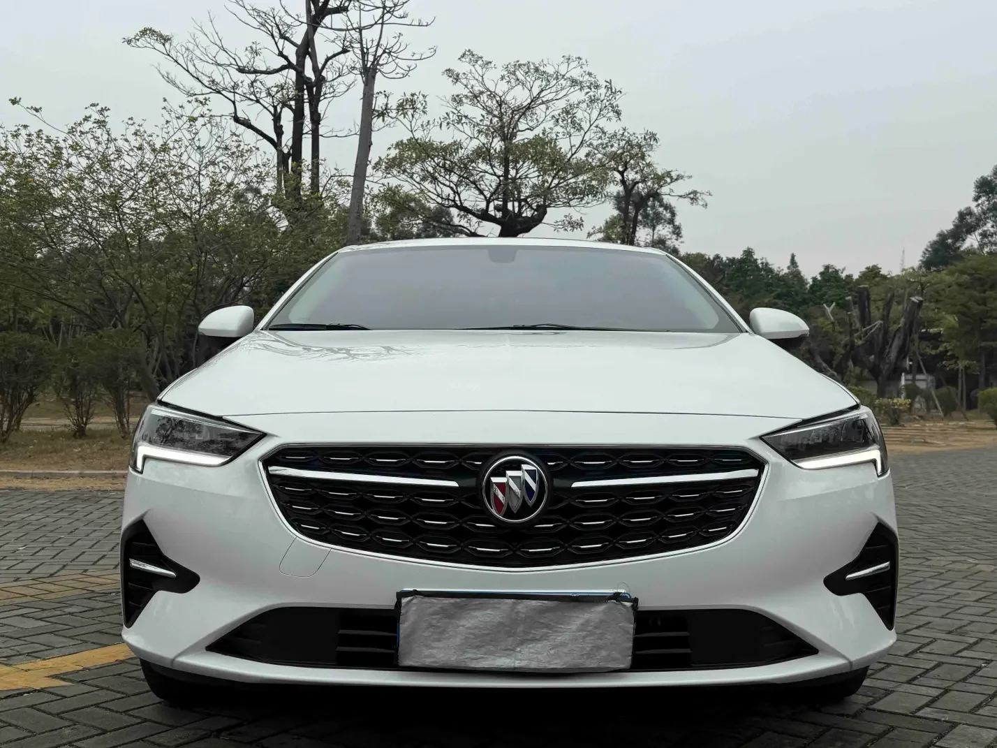 Buick Majesty