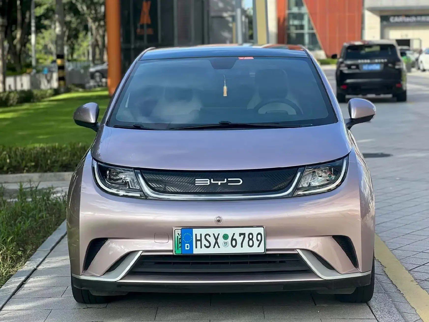 BYD dolphin