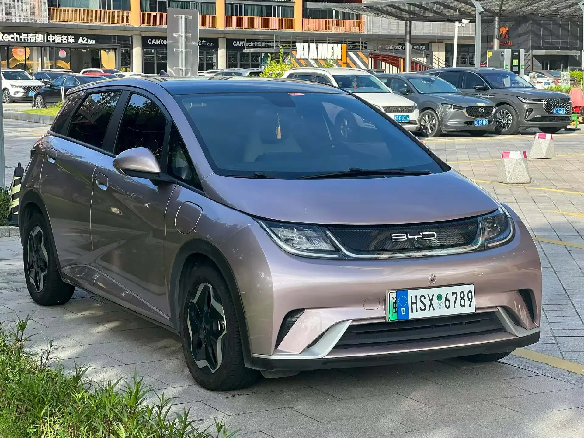 BYD dolphin