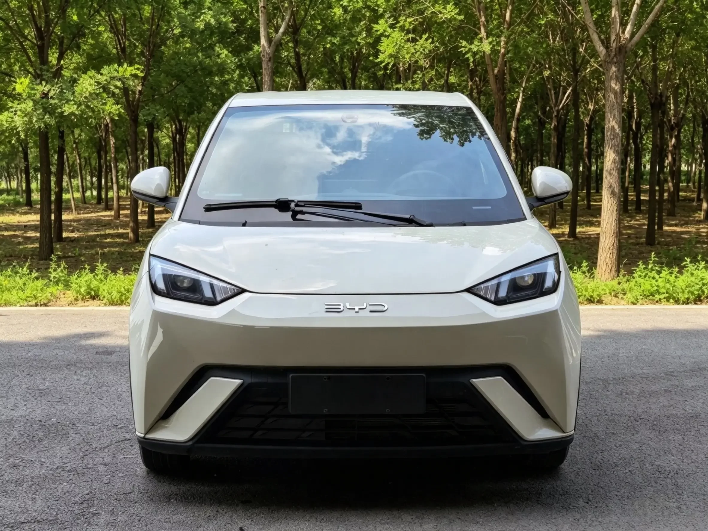 BYD seagull