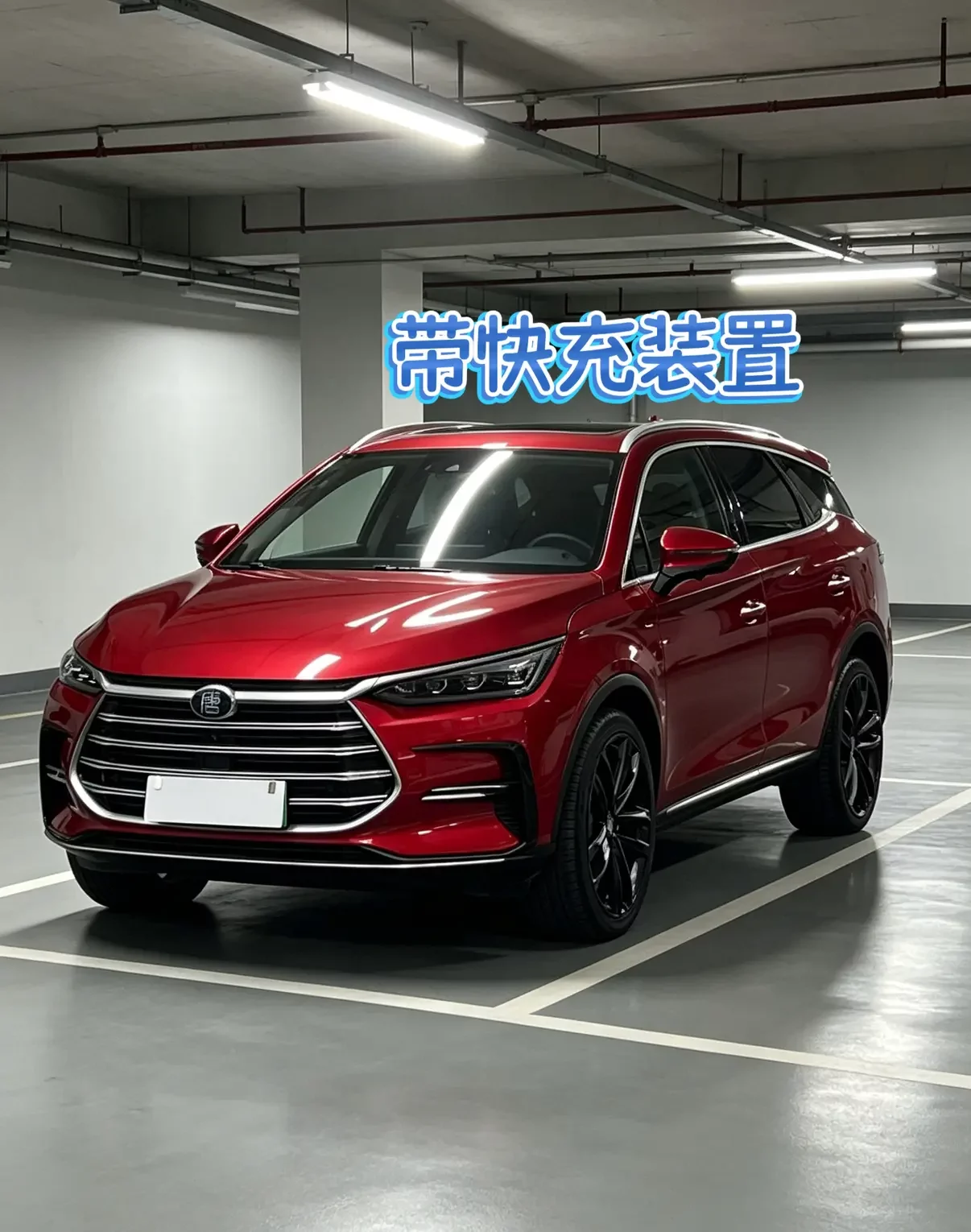 BYD Tang DM