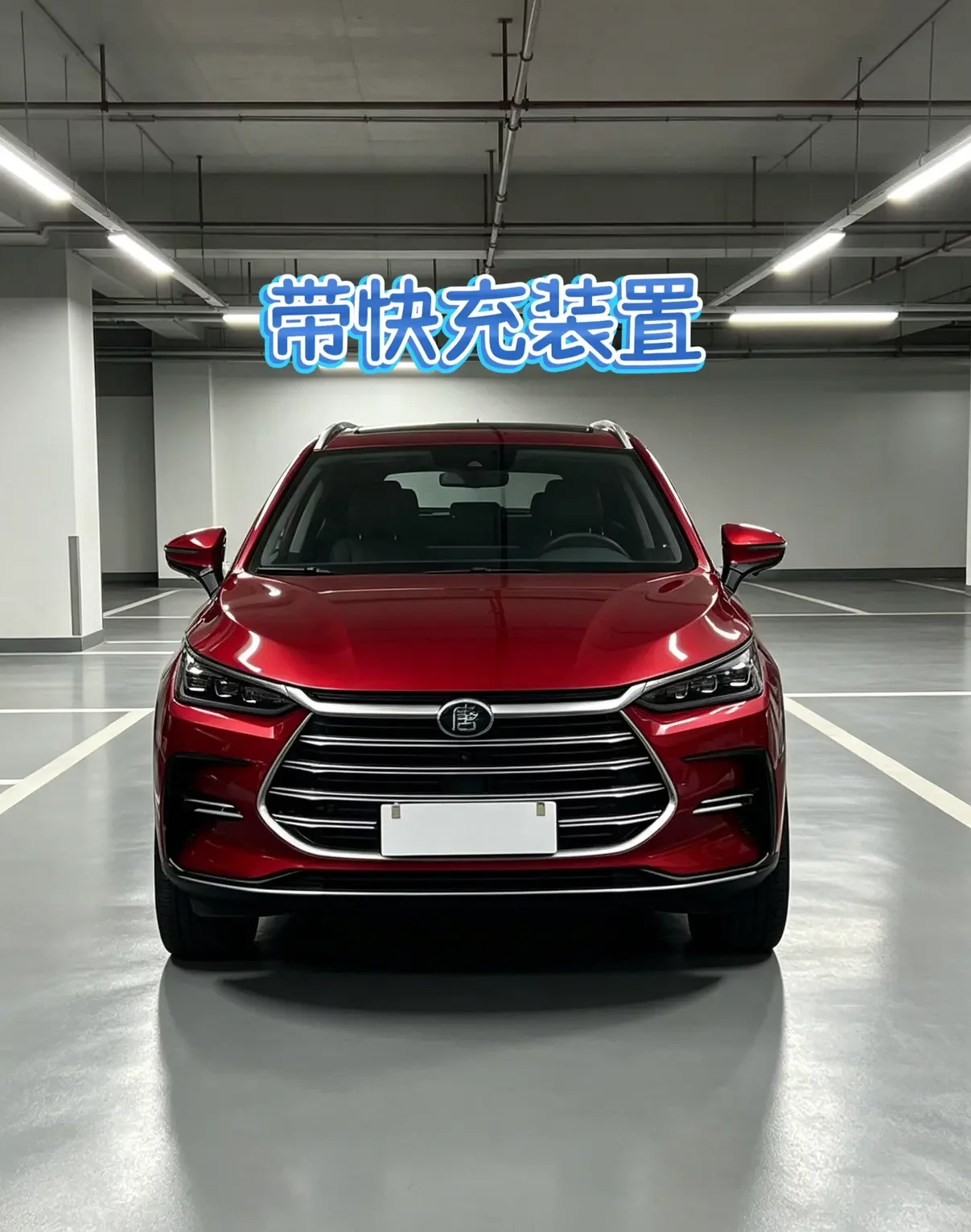 BYD Tang DM