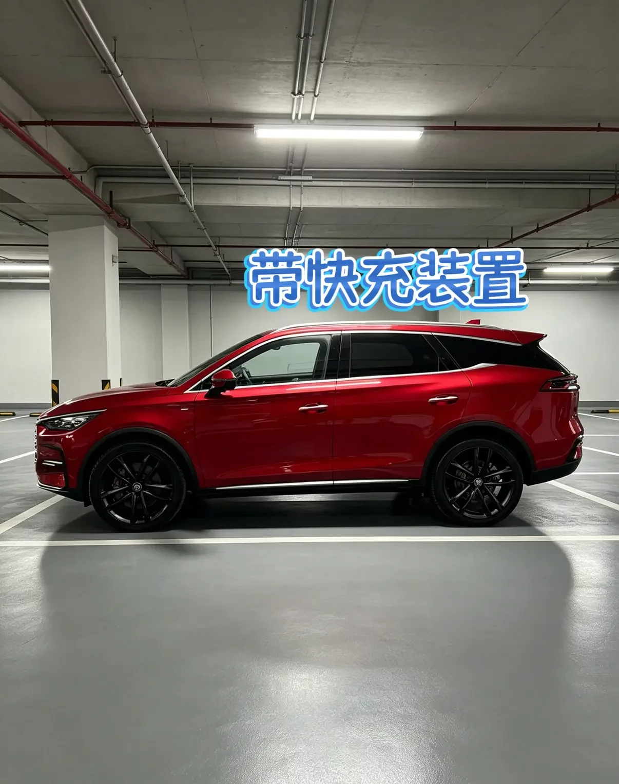 BYD Tang DM