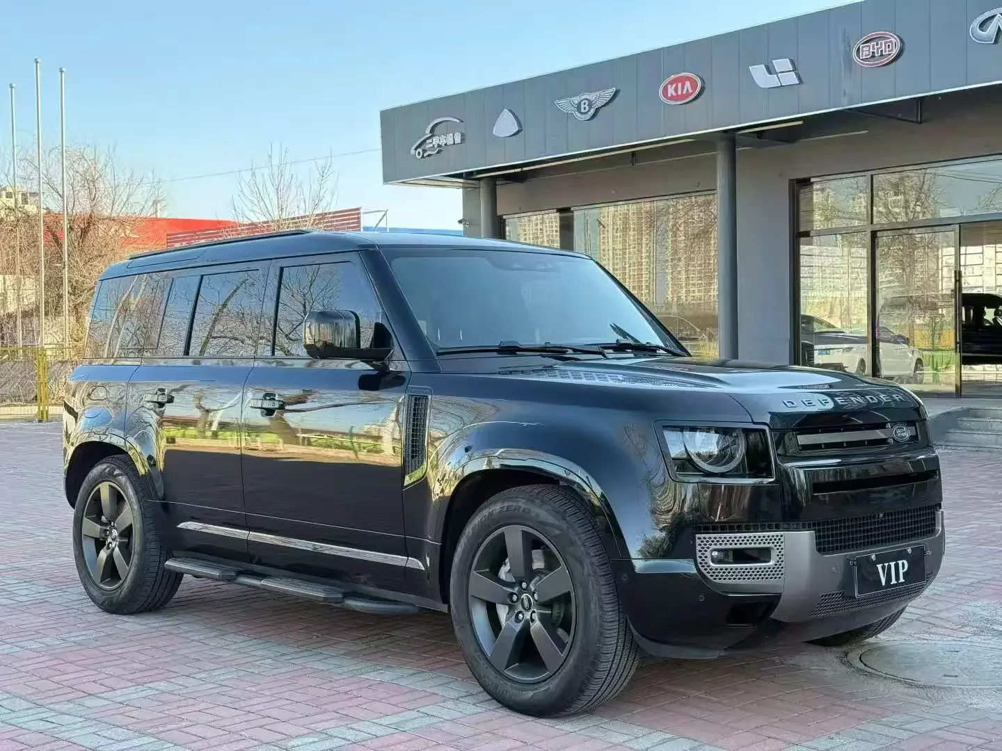 Land Rover guard