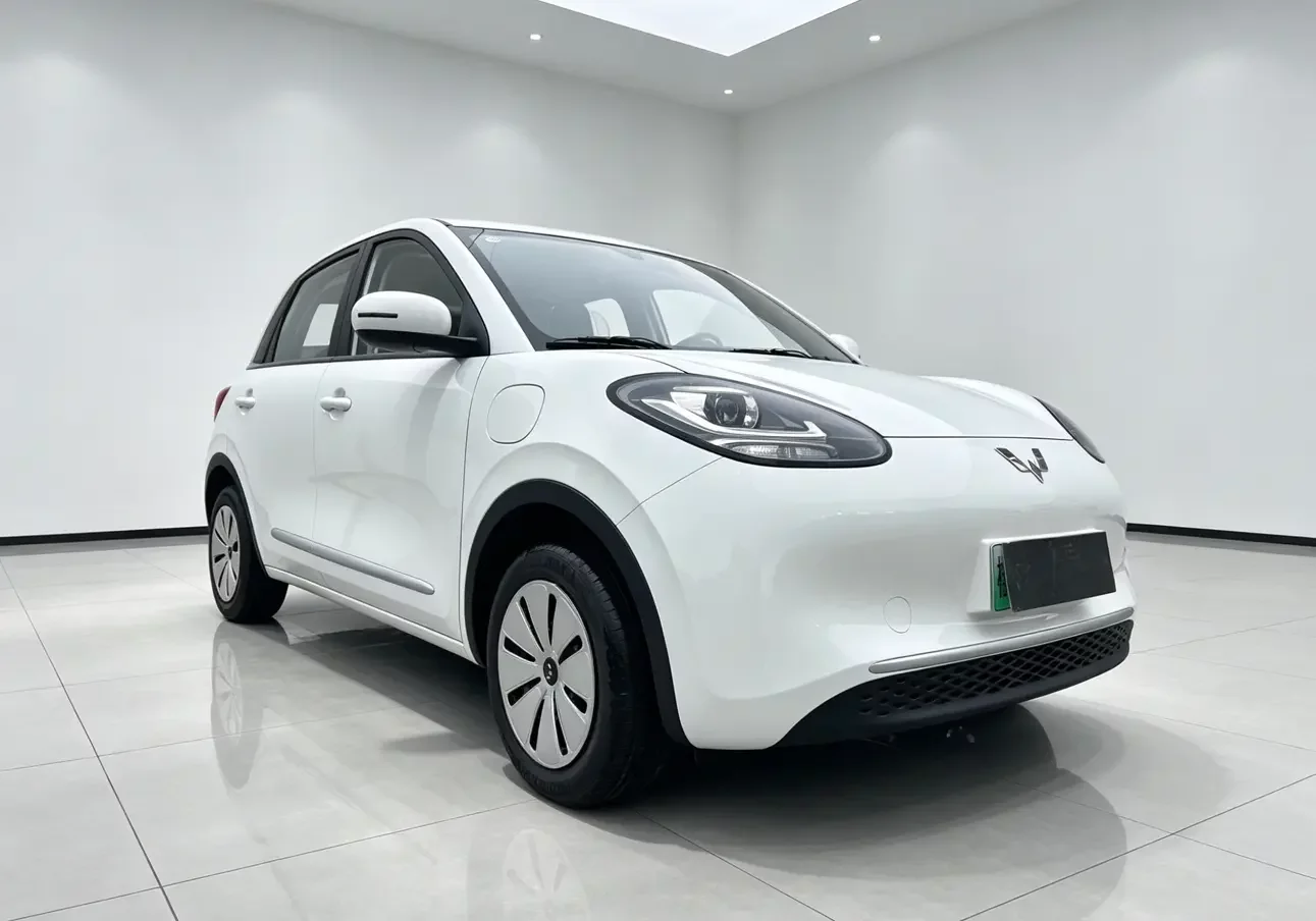 Wuling Bingo