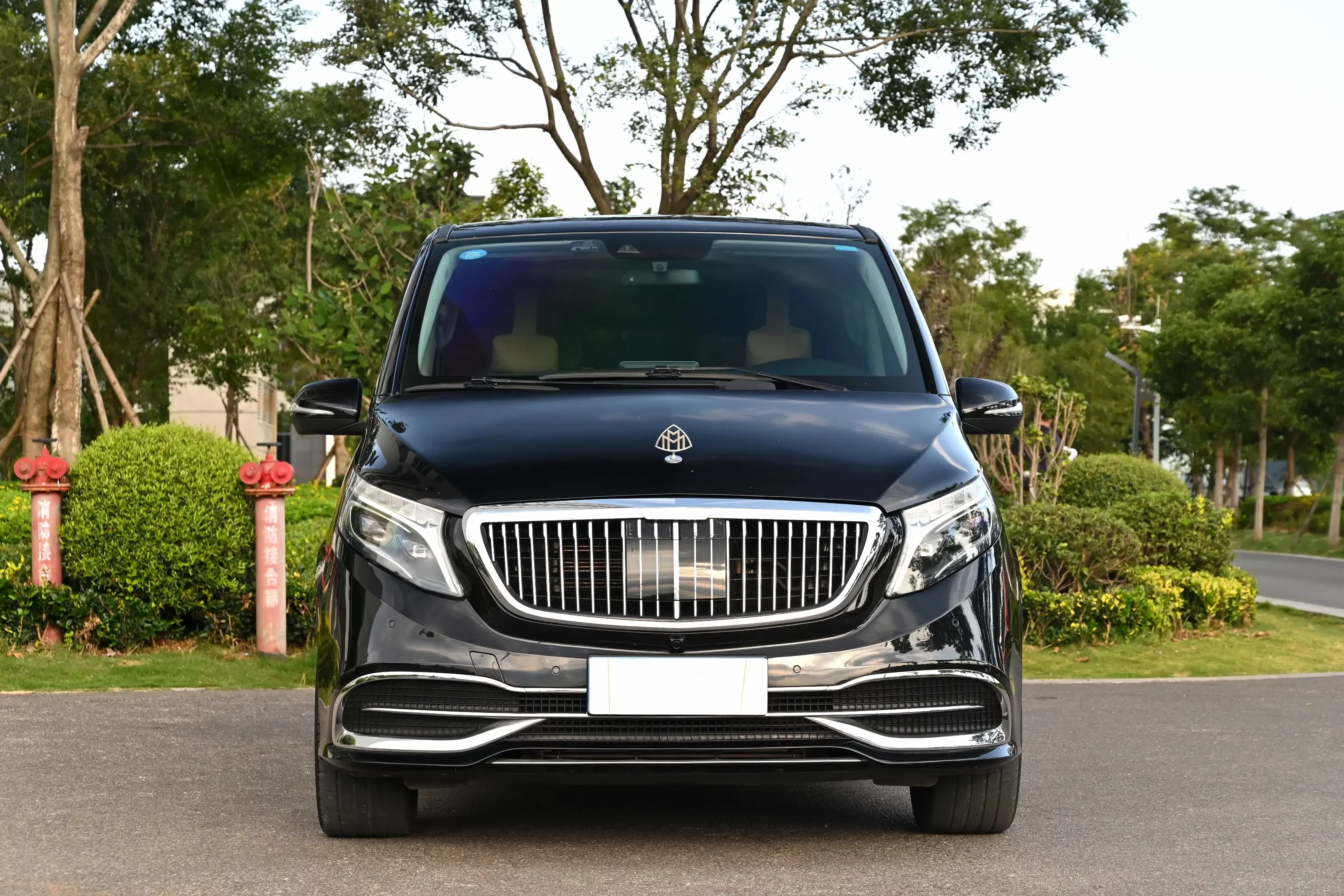 Mercedes-Benz V Class  из Китая