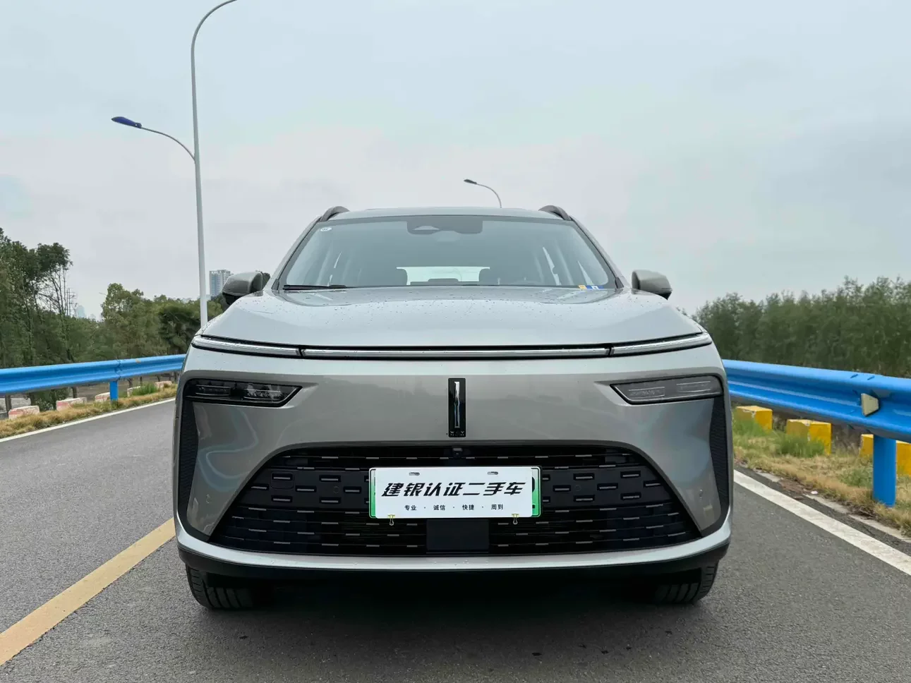 Wey Latte PHEV  из Китая