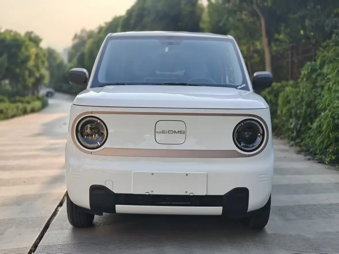 Geely panda
