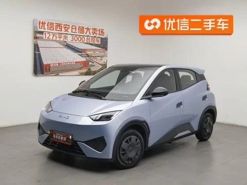 BYD seagull  из Китая