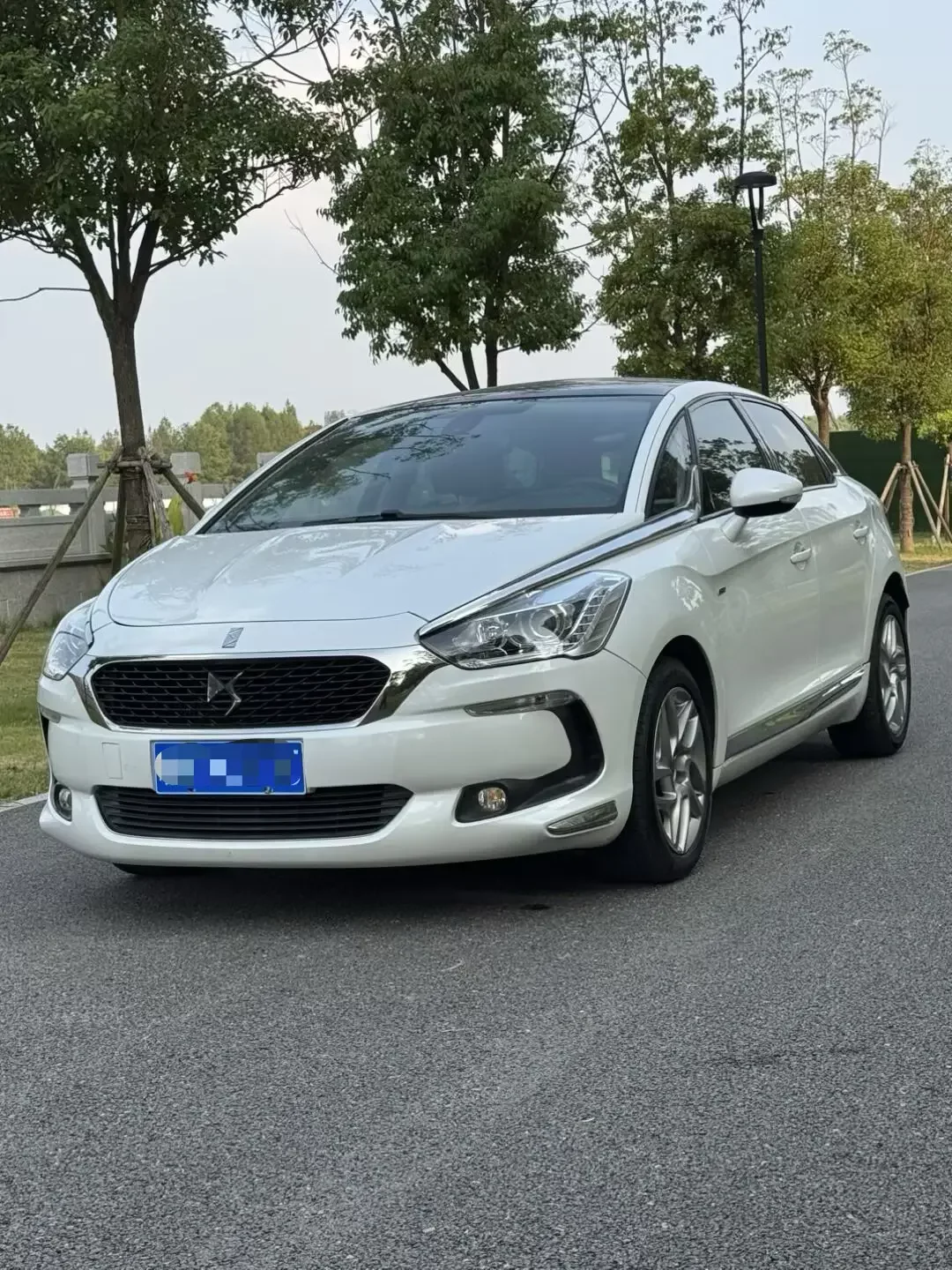 DS 5