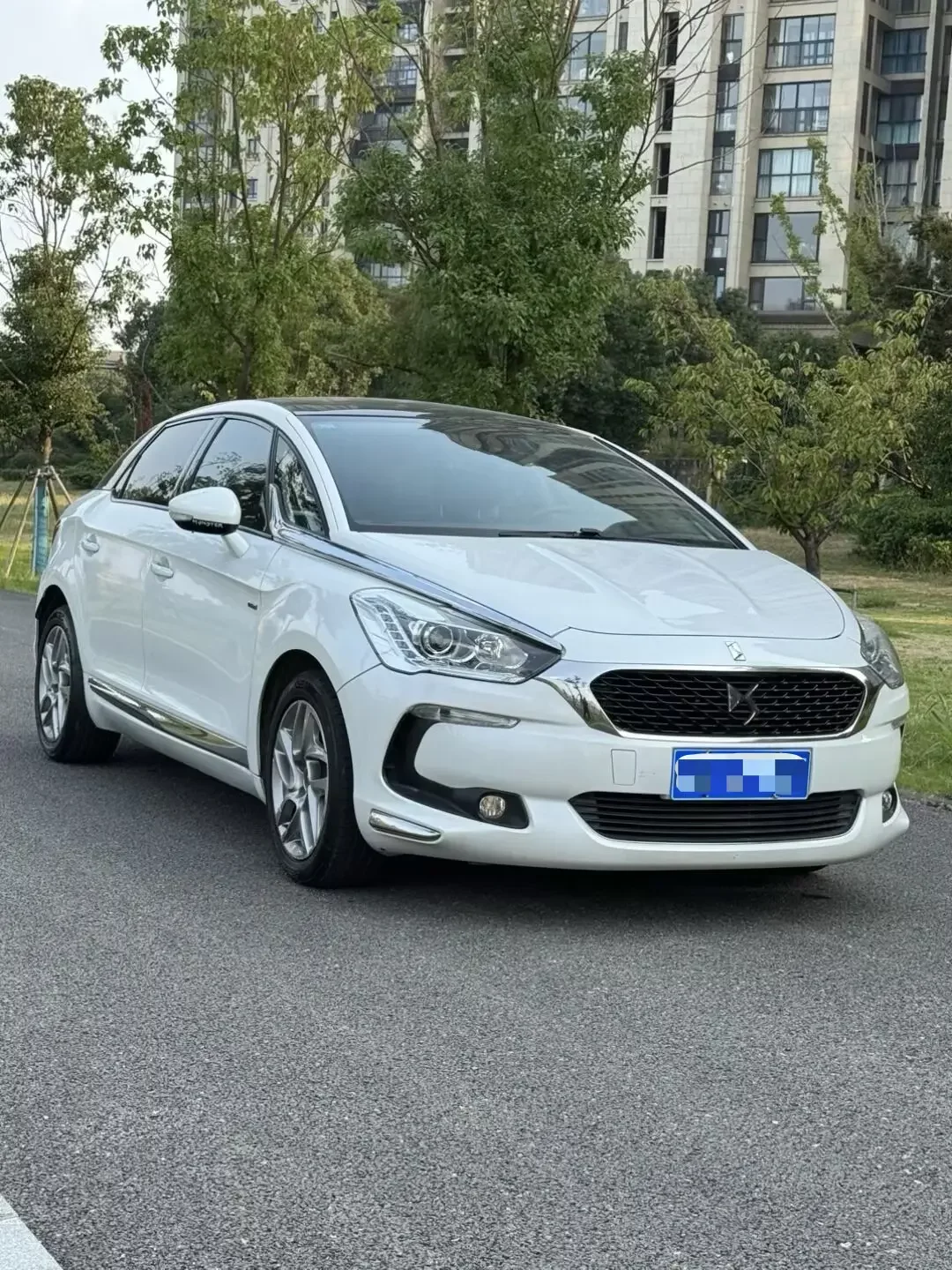 DS 5