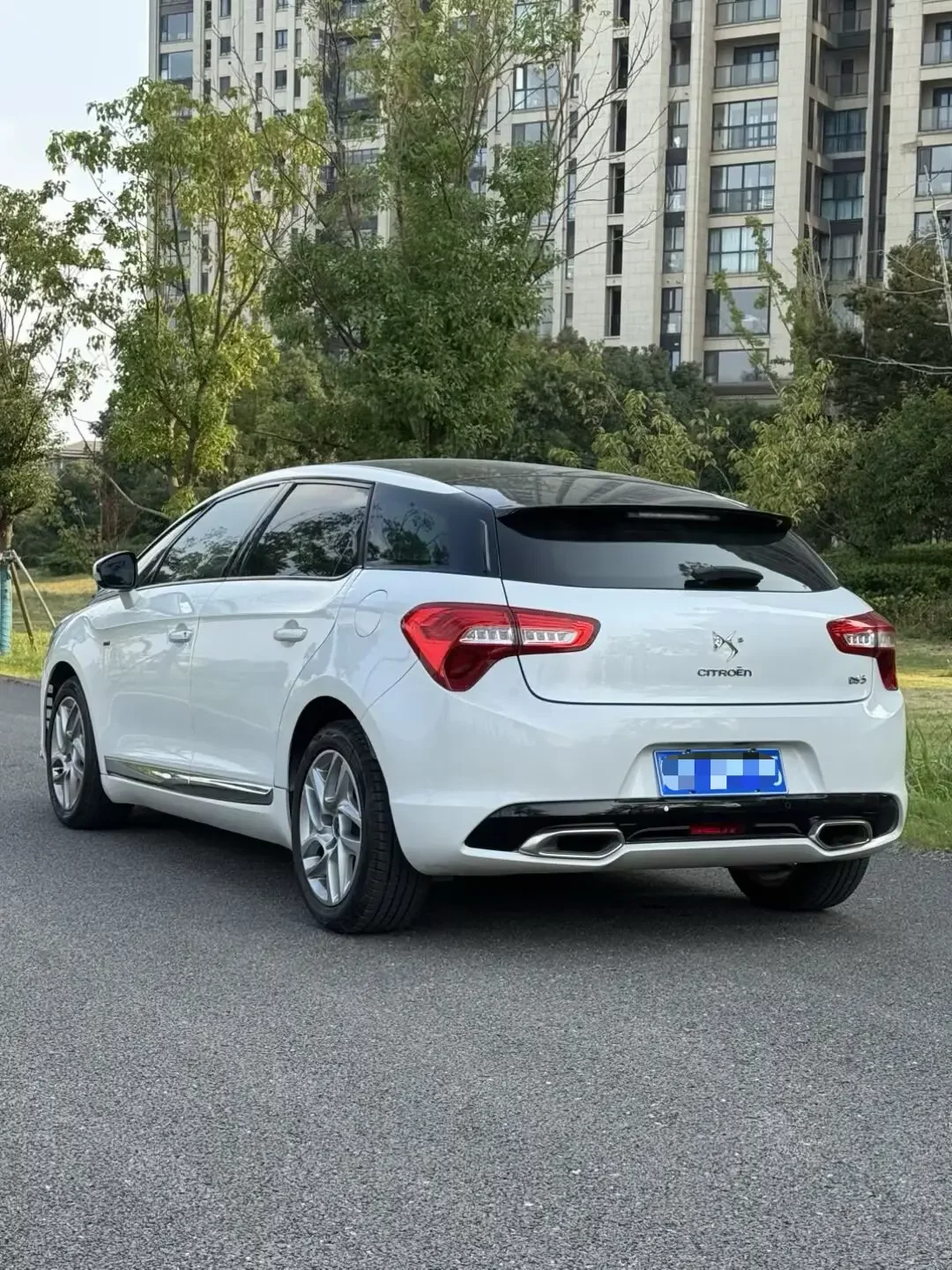 DS 5