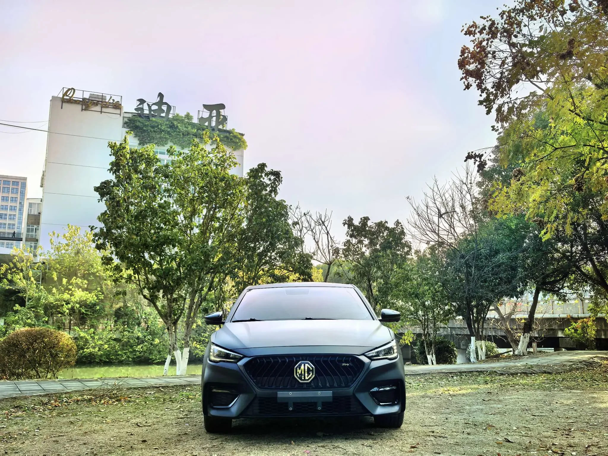 MG 6