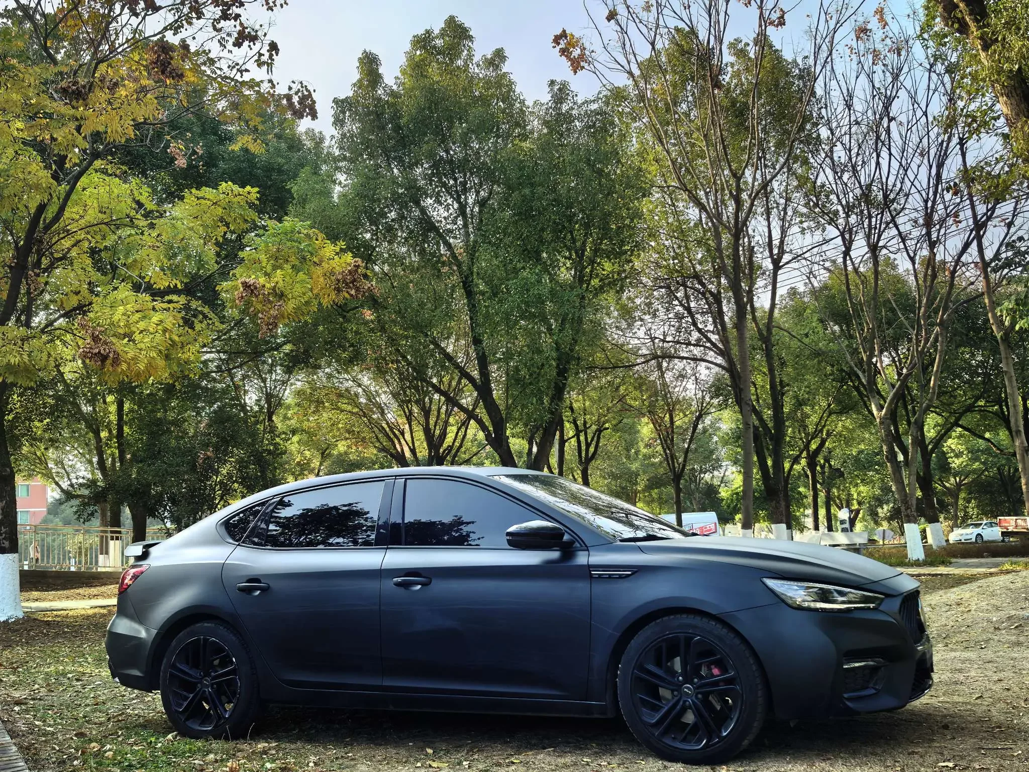 MG 6