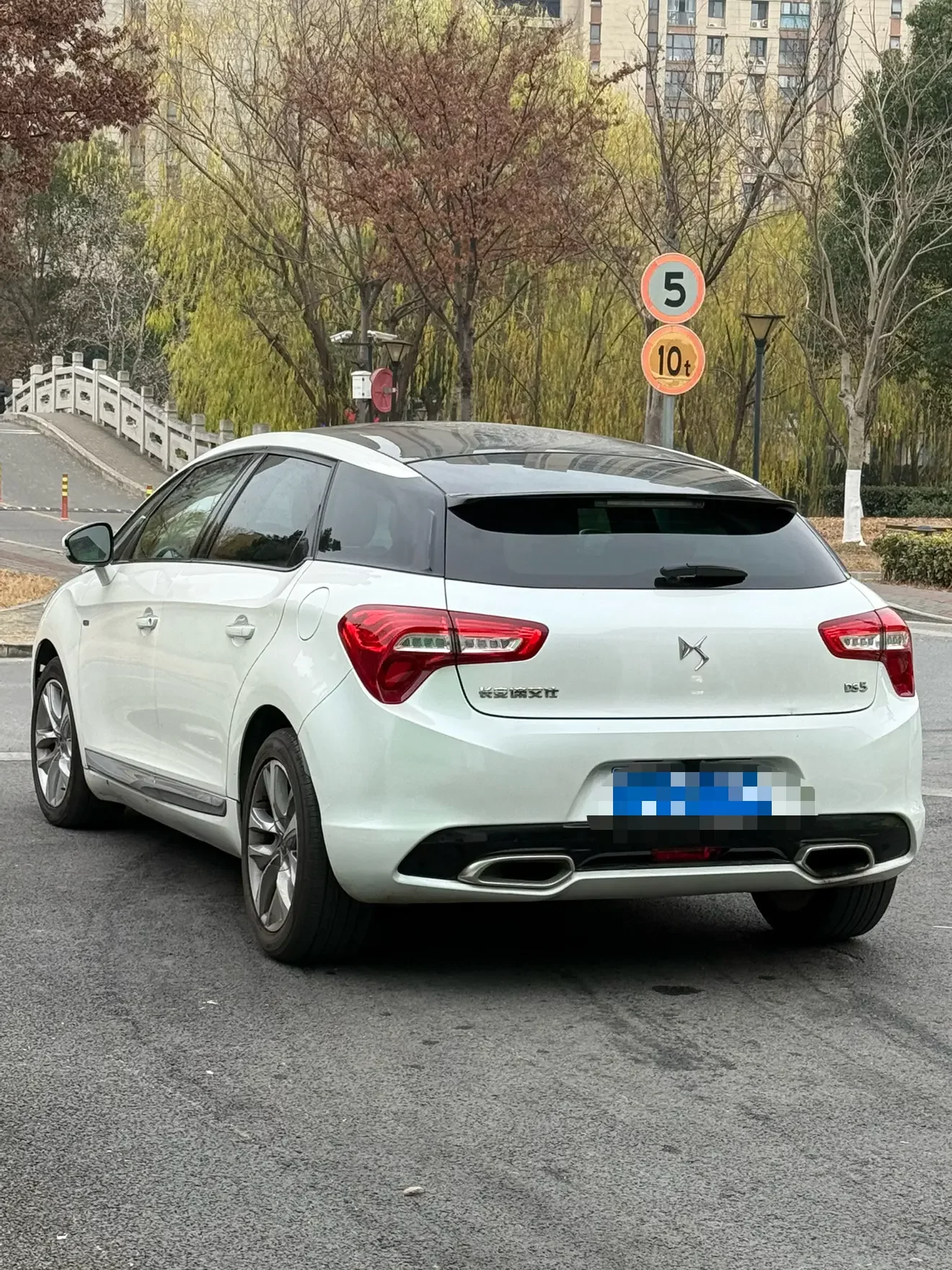 DS 5