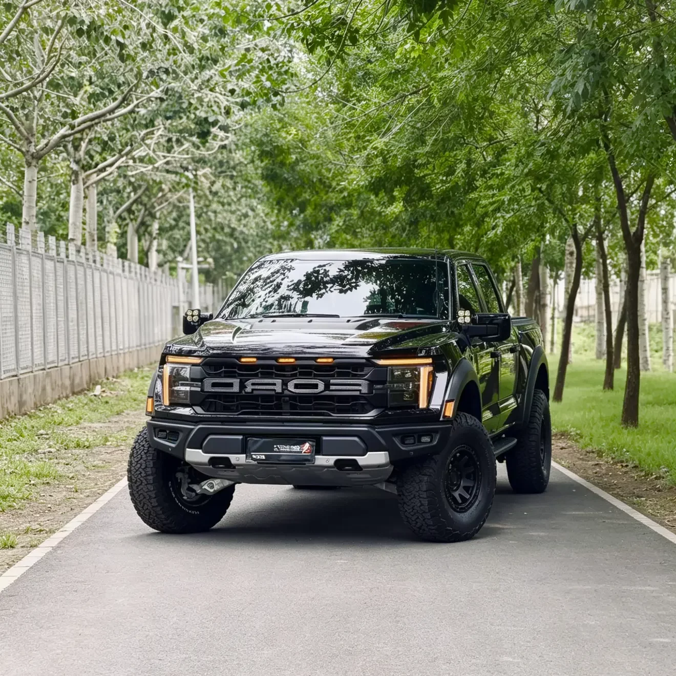 Ford F-150 Raptor