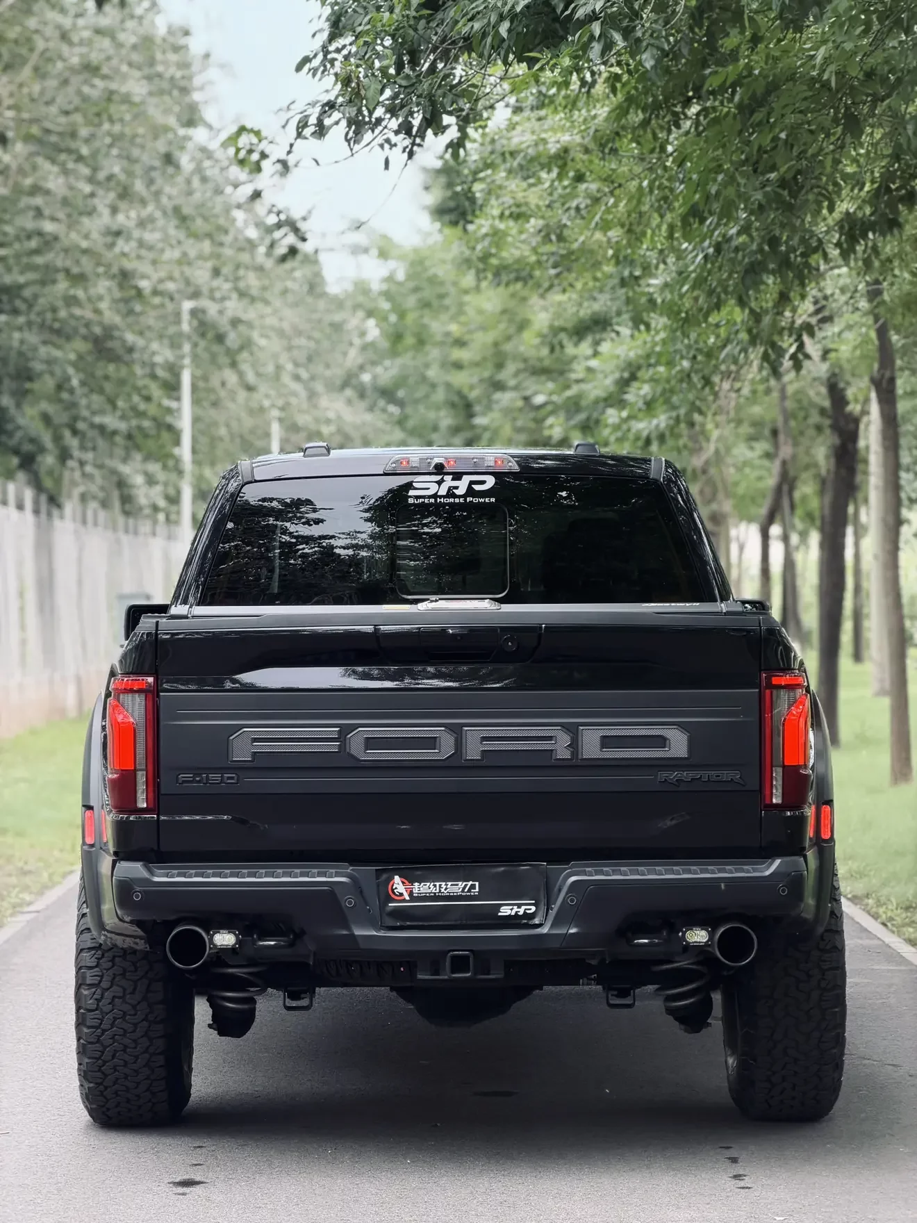 Ford F-150 Raptor