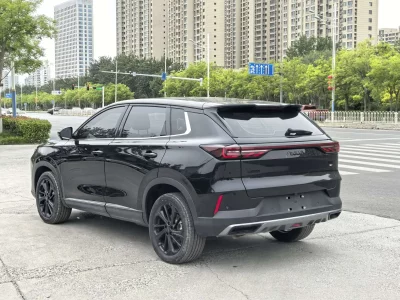 Dongfeng Haoji