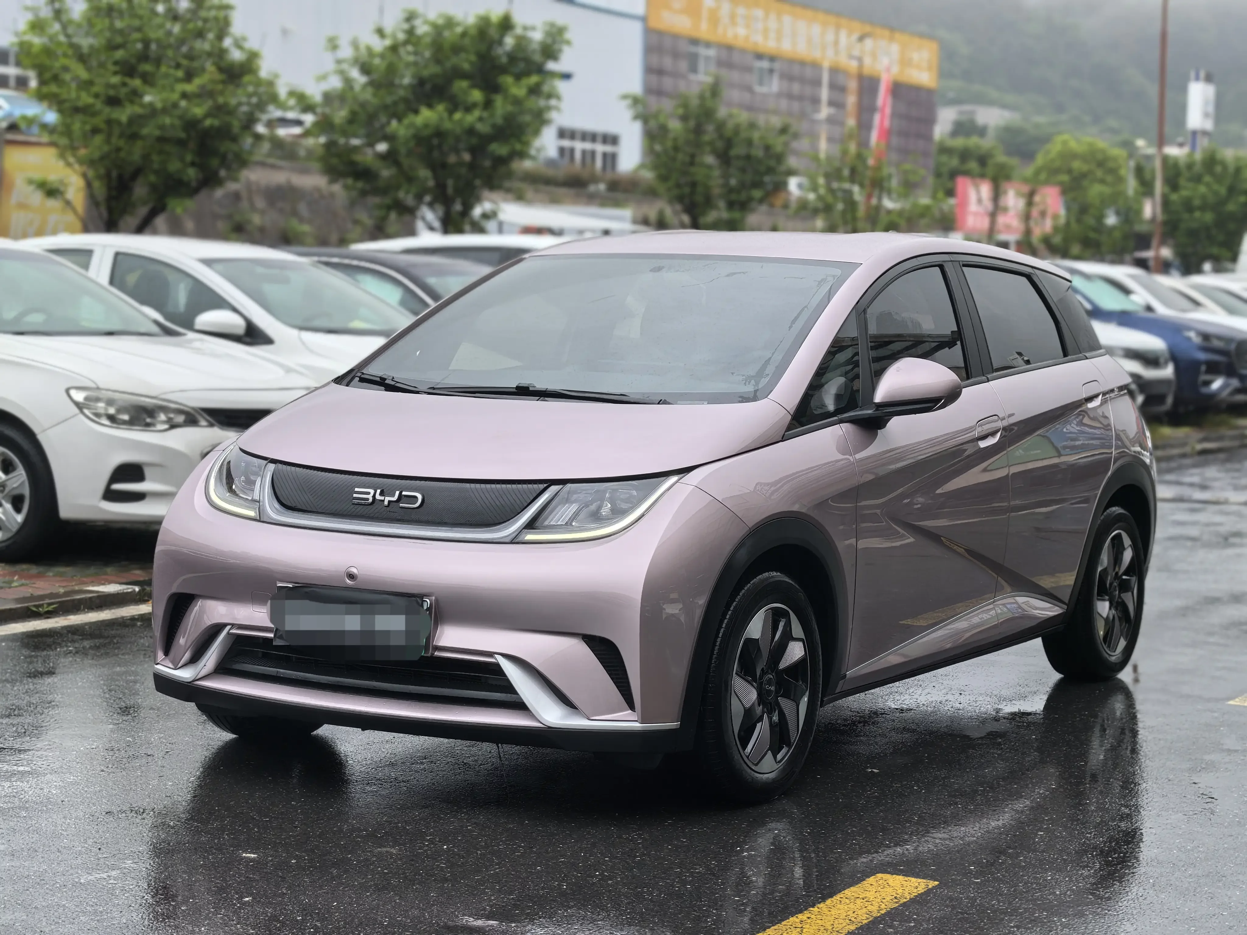 BYD dolphin