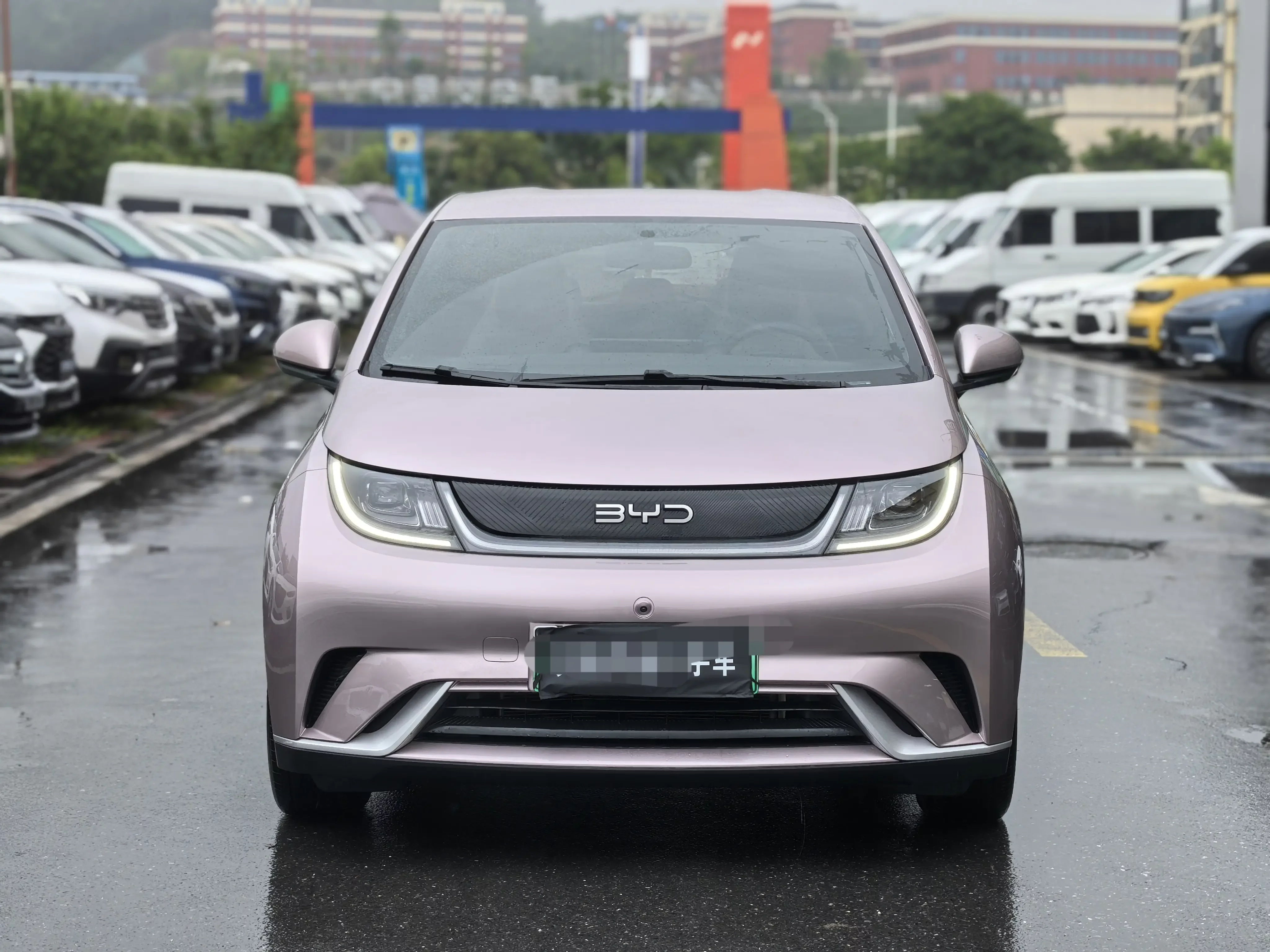 BYD dolphin
