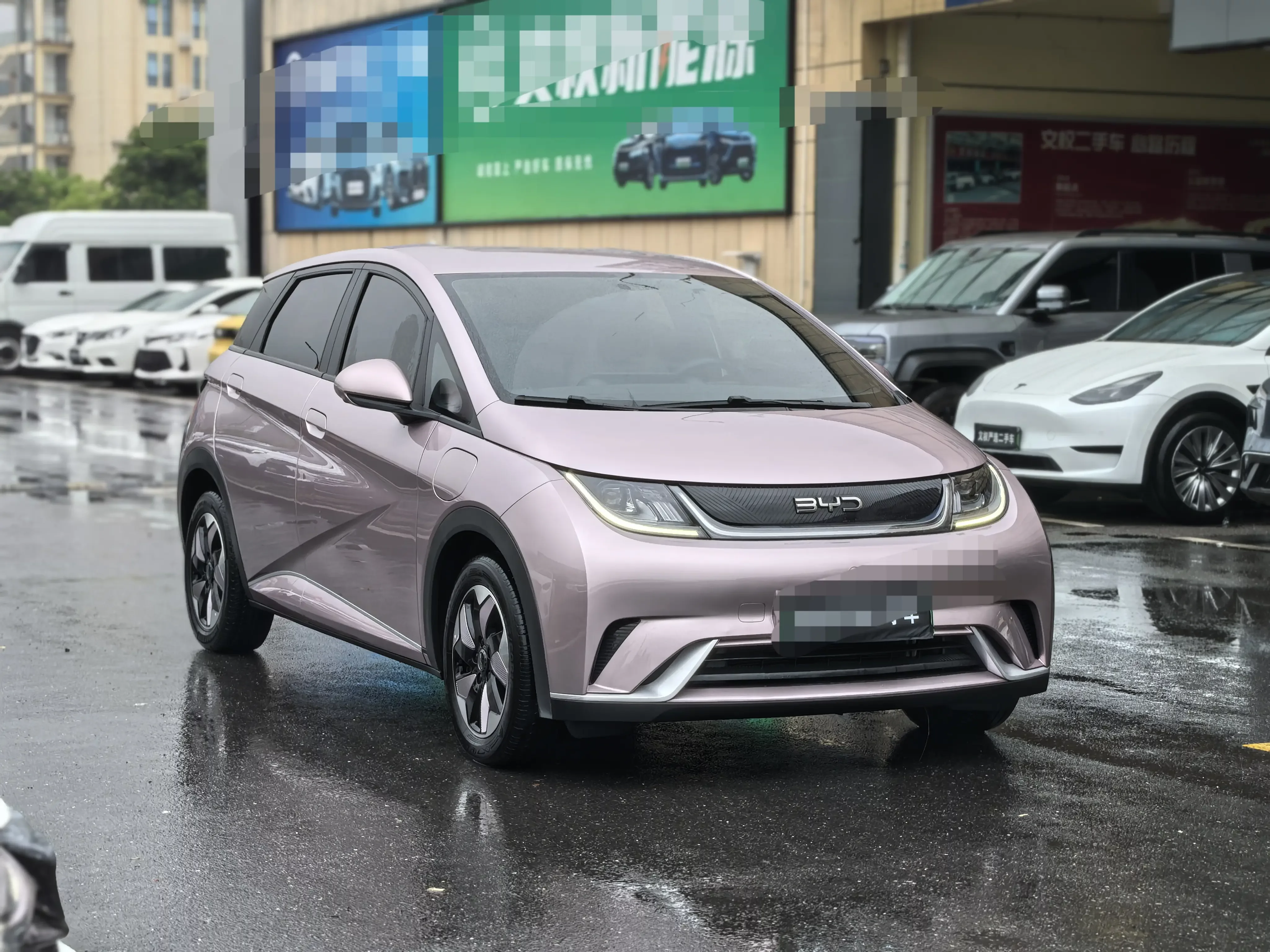 BYD dolphin