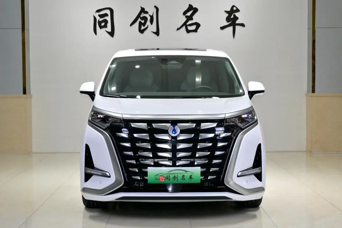 Denza D9 DM
