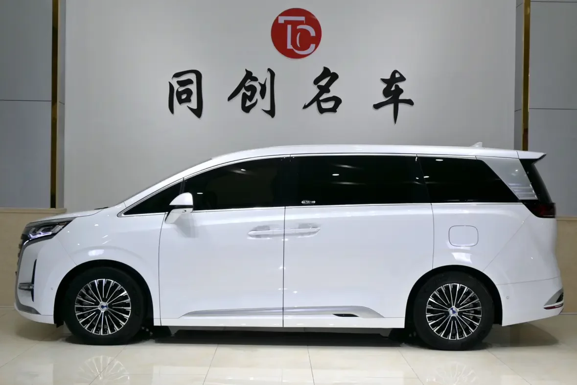 Denza D9 DM