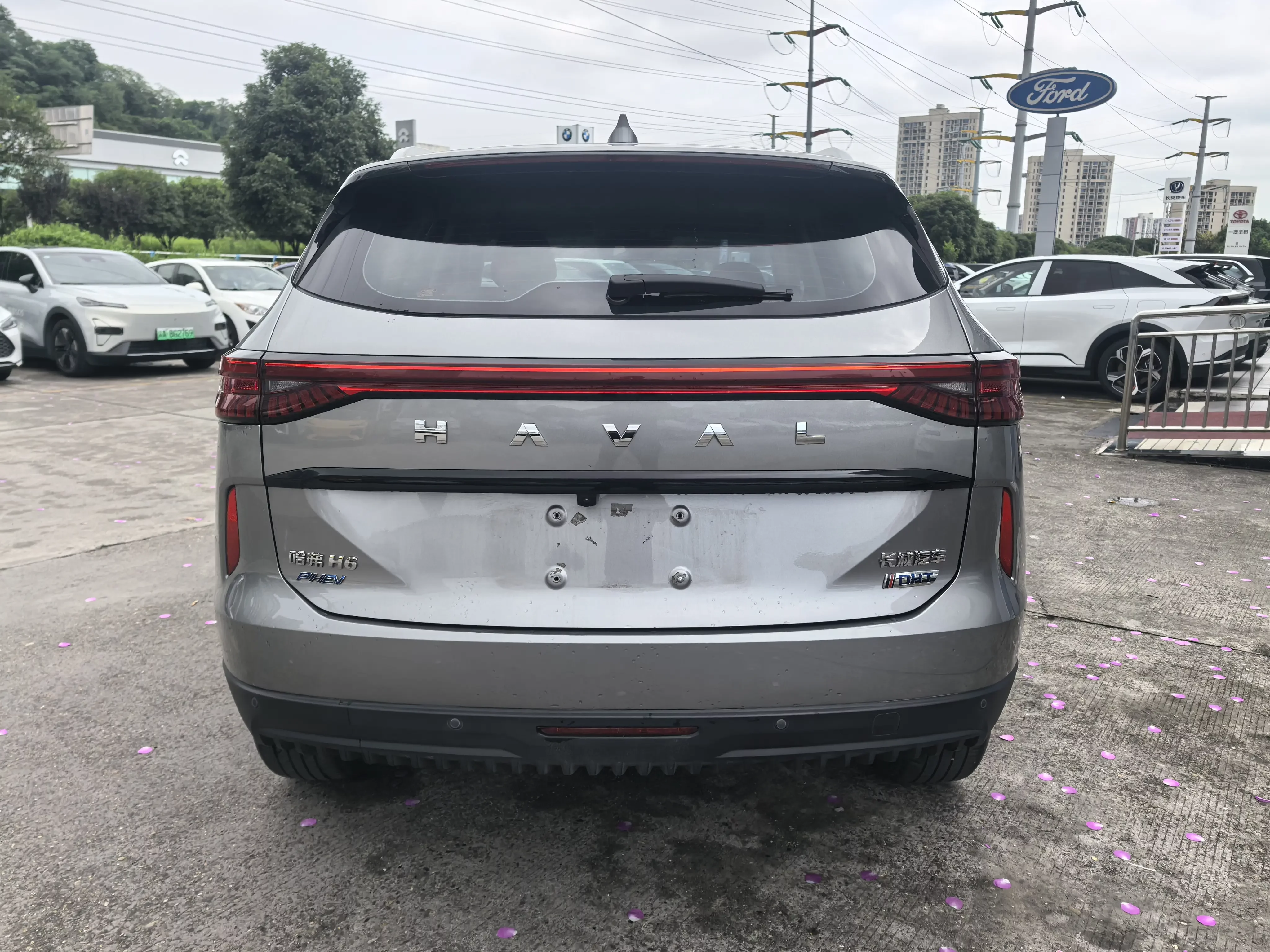 catalog-car-6