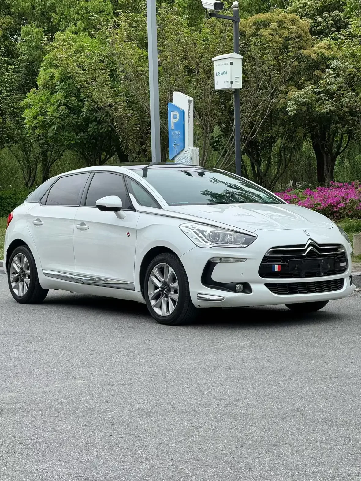 DS 5