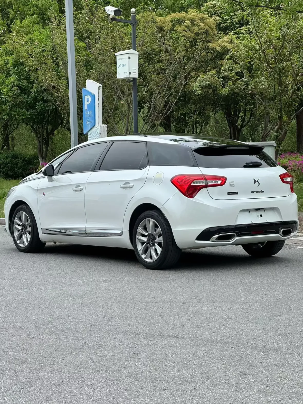 DS 5