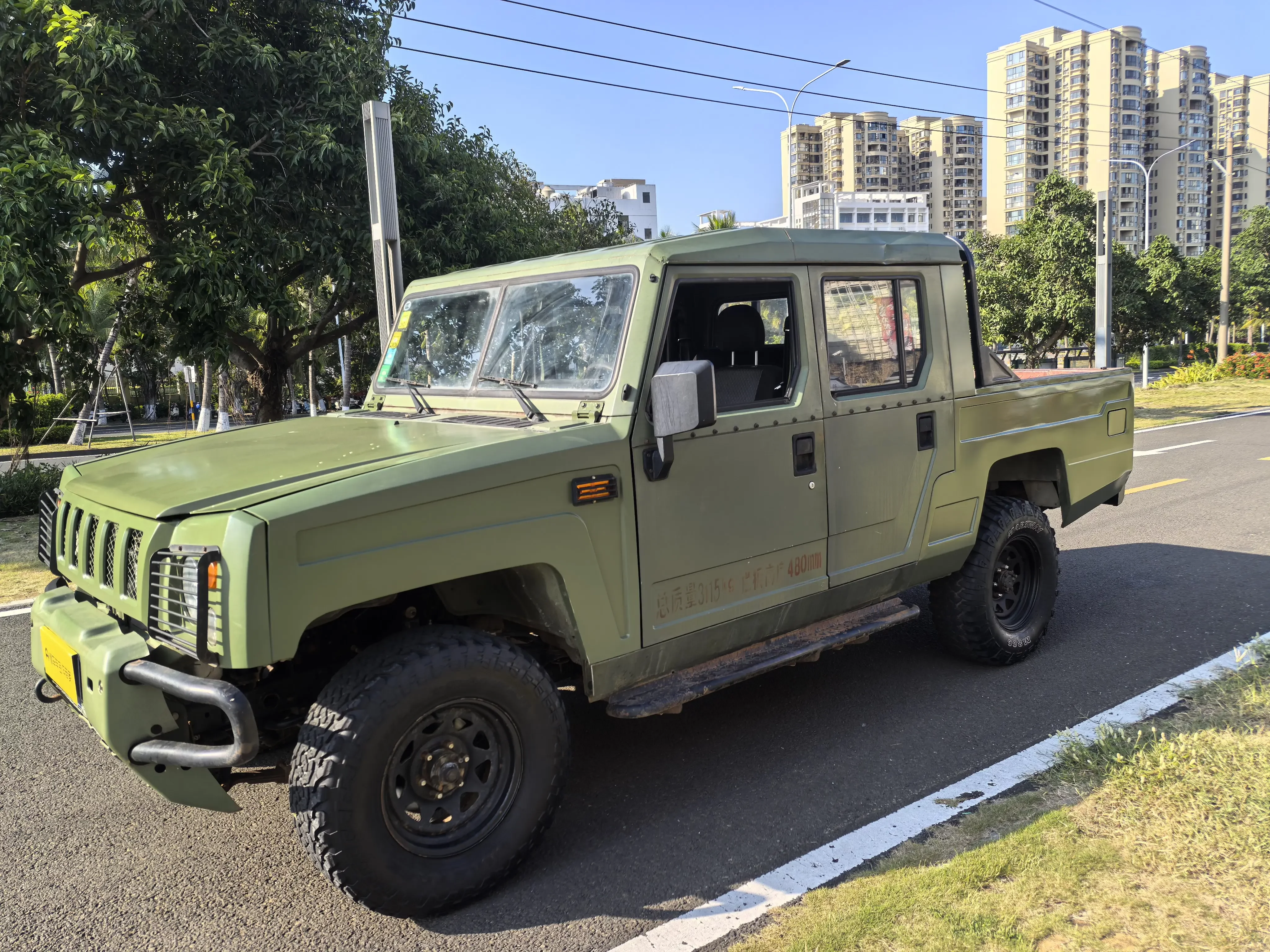 BAW Warrior Pickup