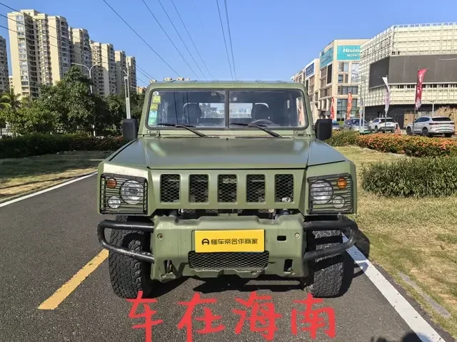 BAW Warrior Pickup