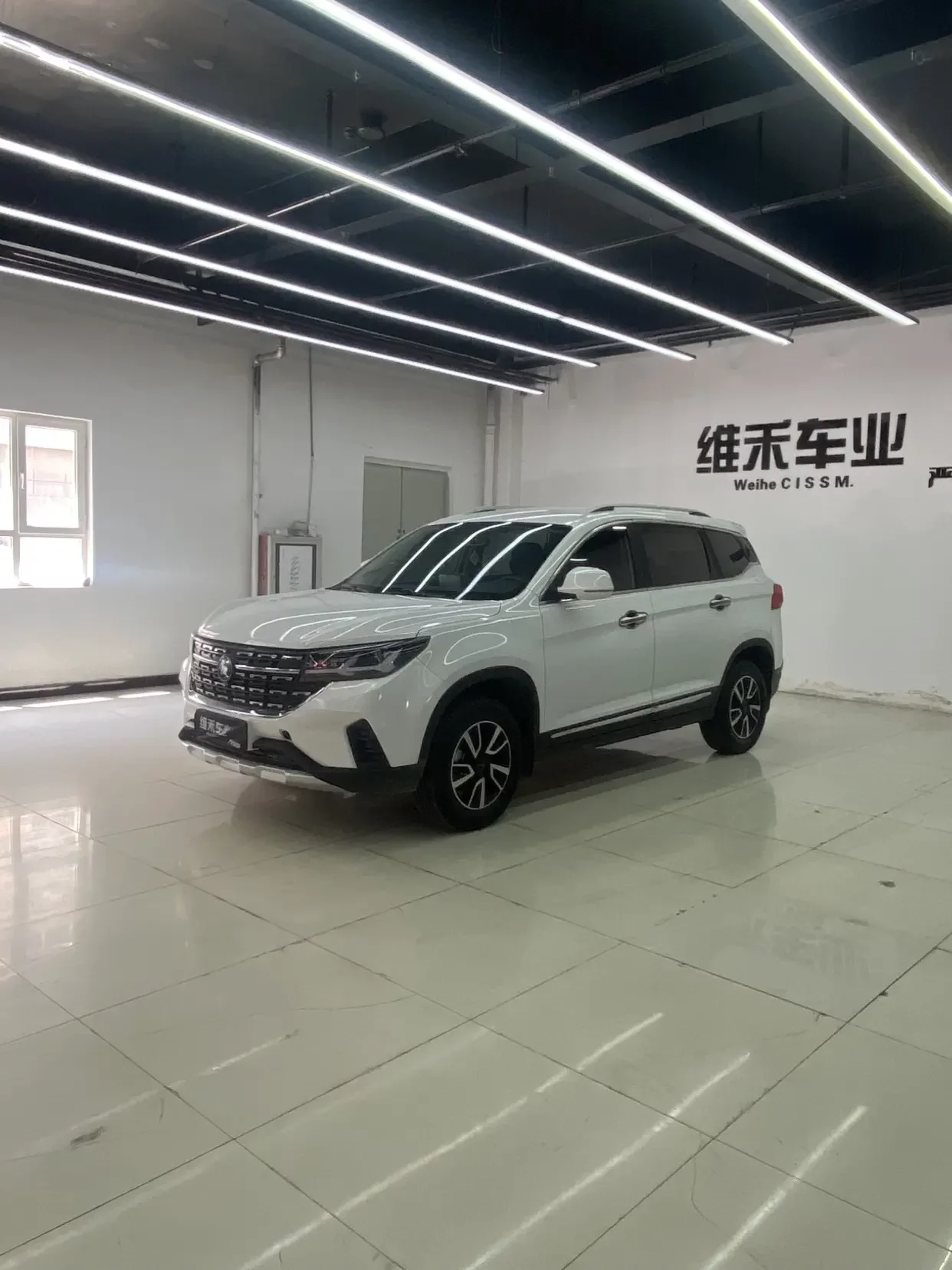 Forthing Fengxing T5
