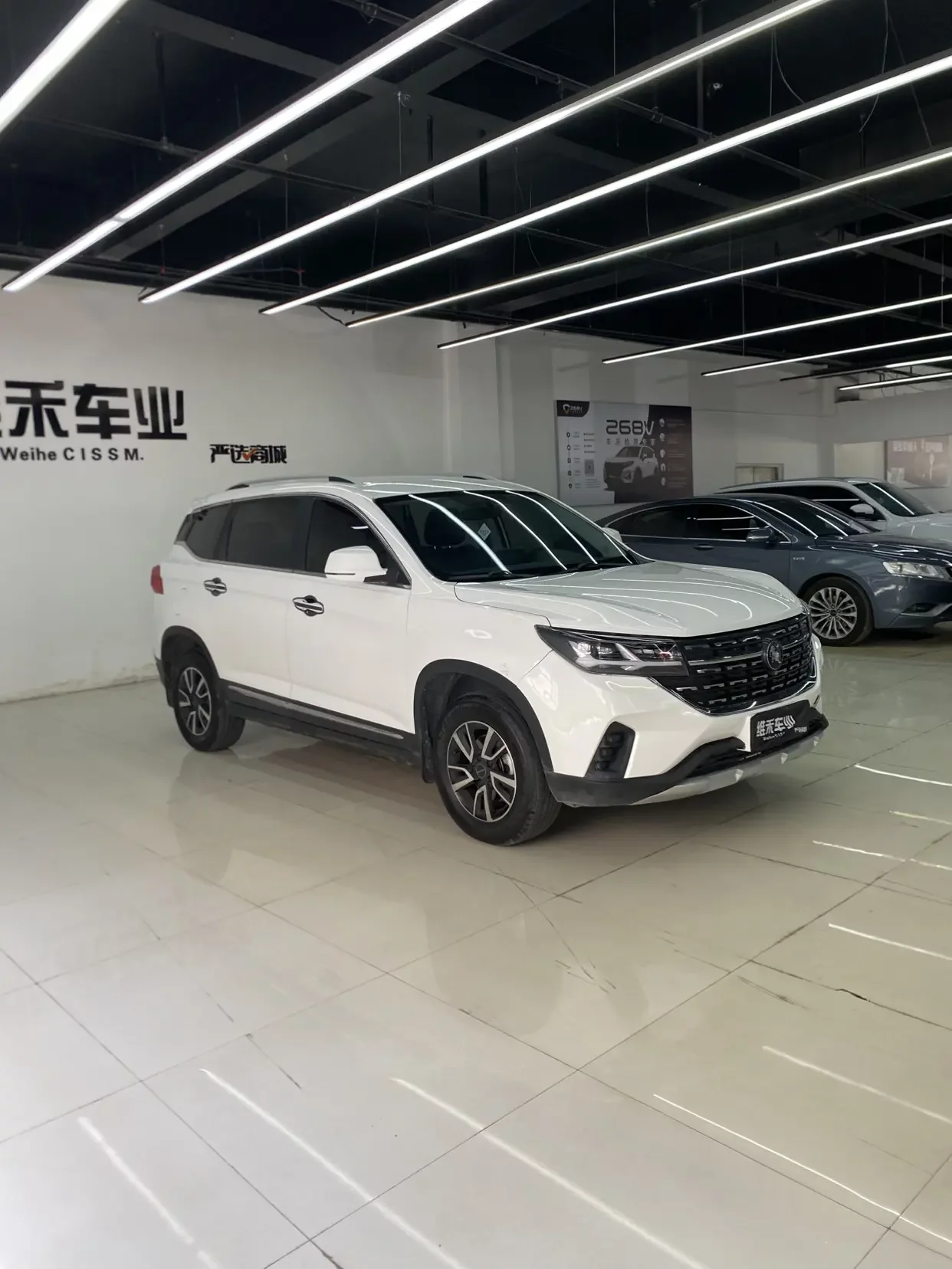 Forthing Fengxing T5