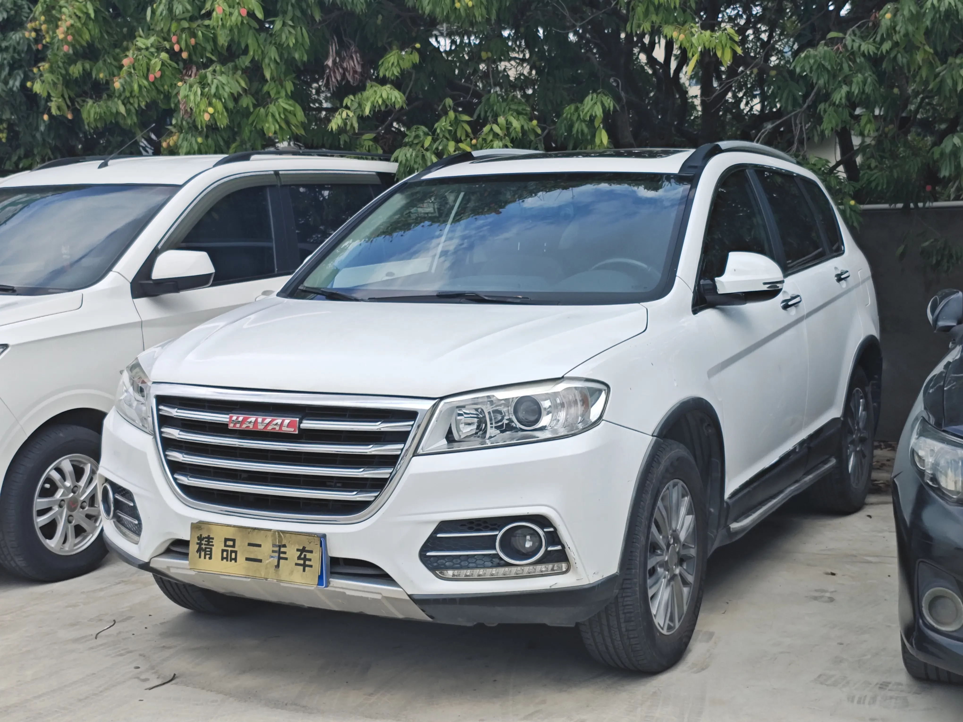Haval H6  из Китая