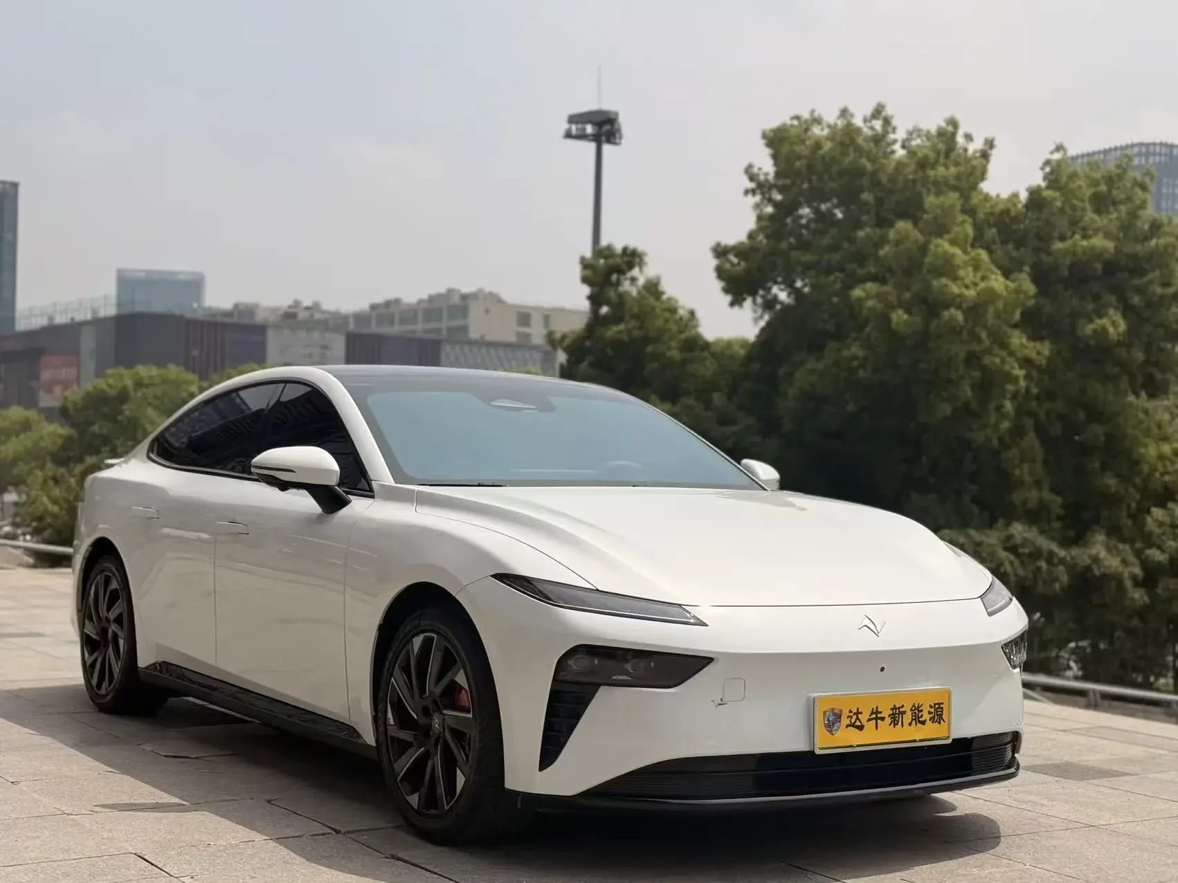 Dongfeng Yipai 007