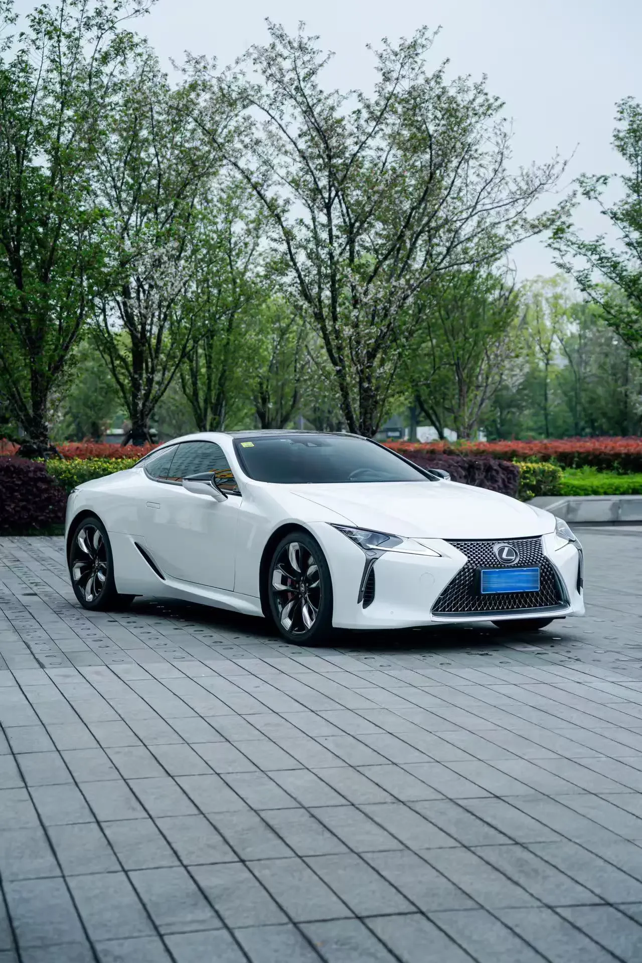 catalog-car-2