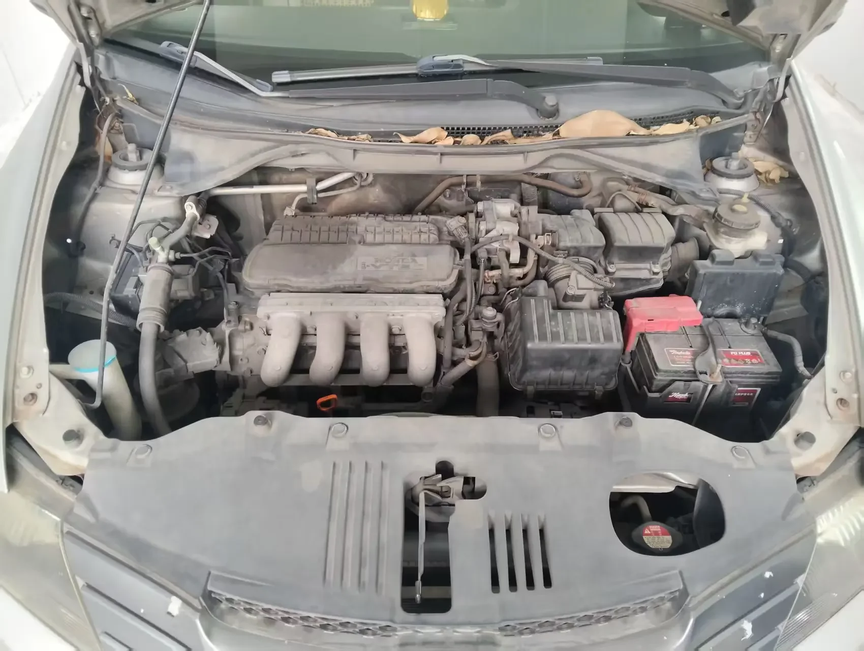 Honda Avant-garde classic