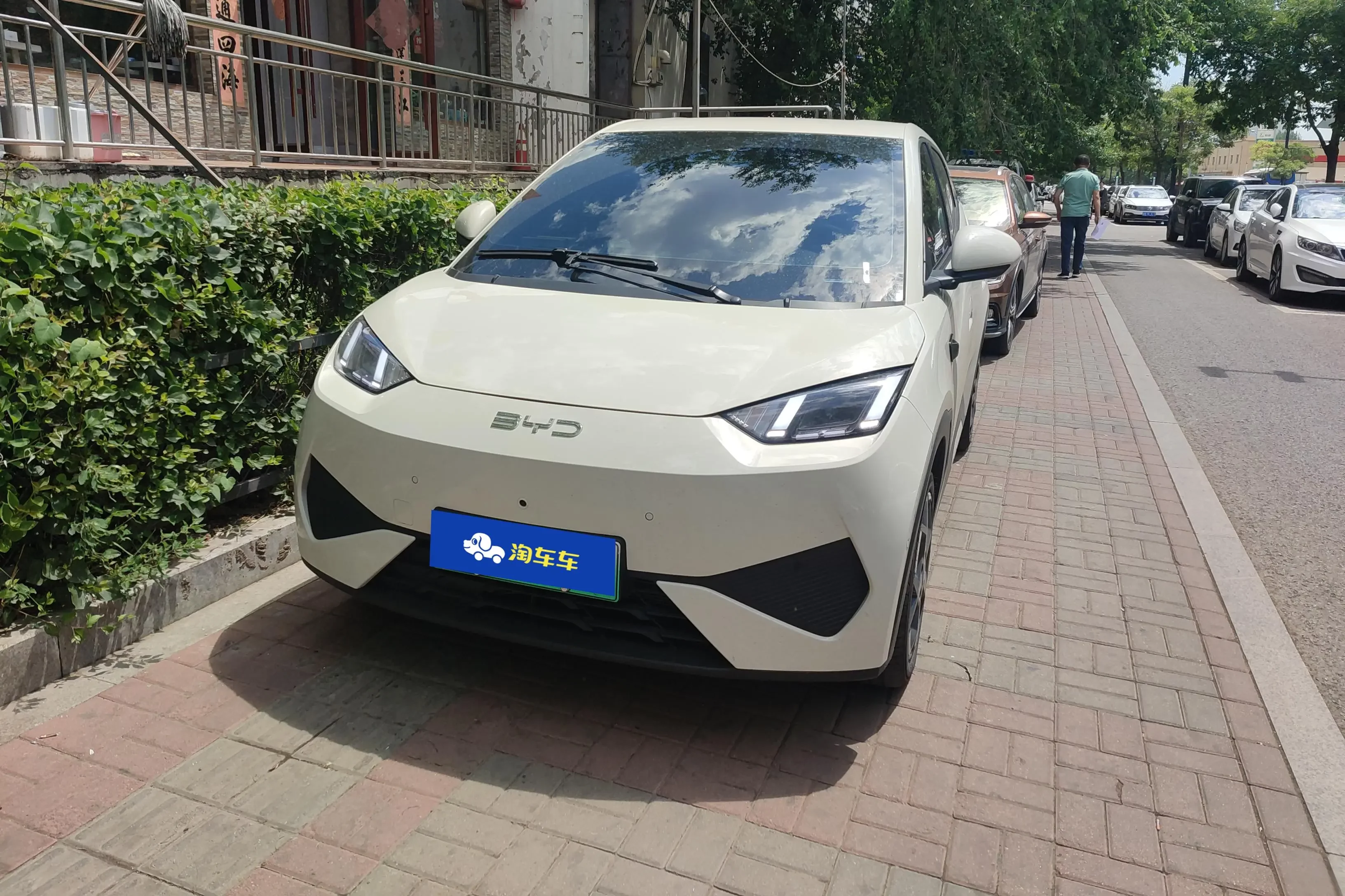 BYD seagull