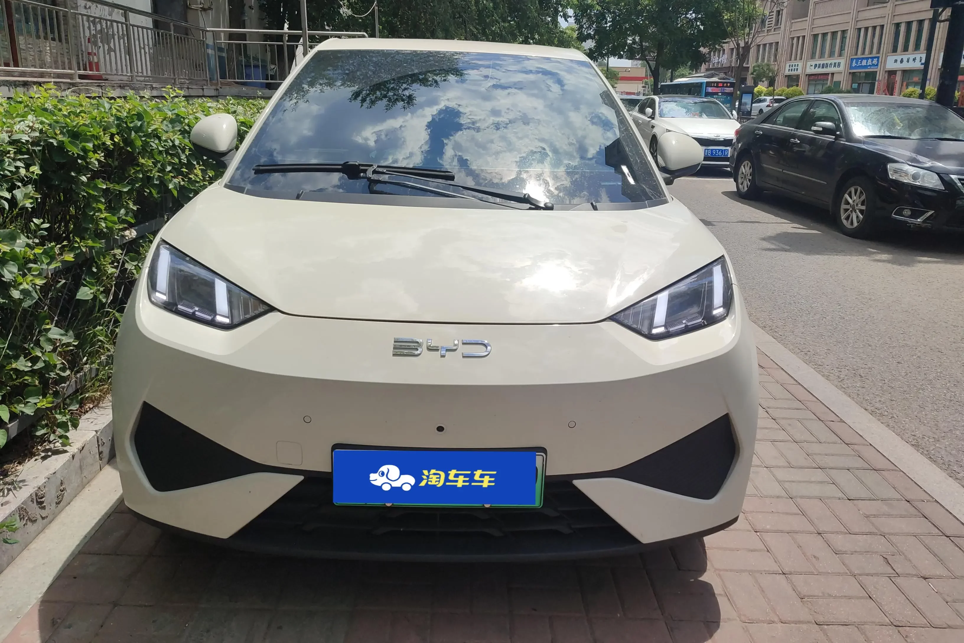 BYD seagull