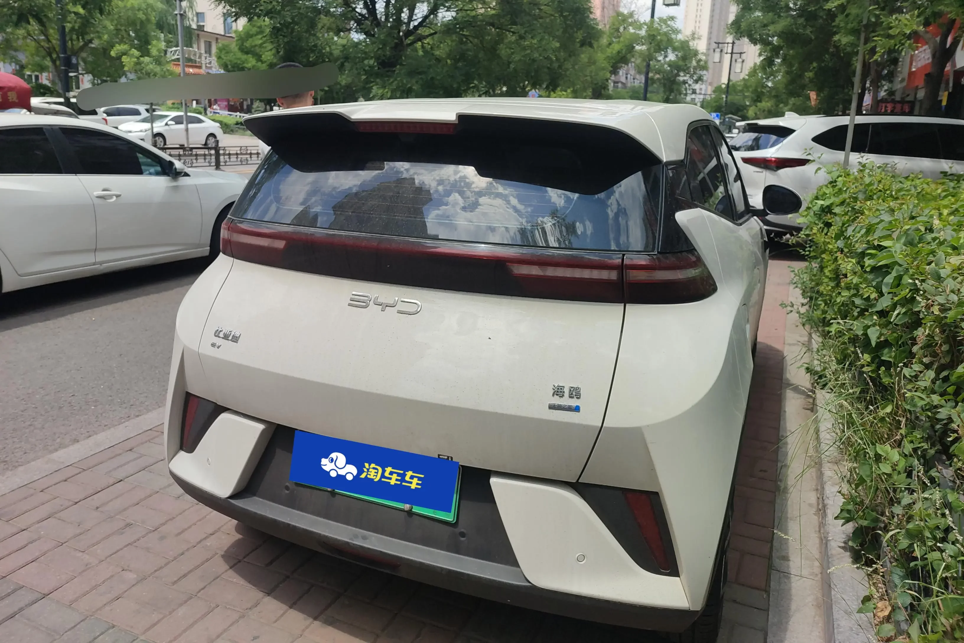 BYD seagull